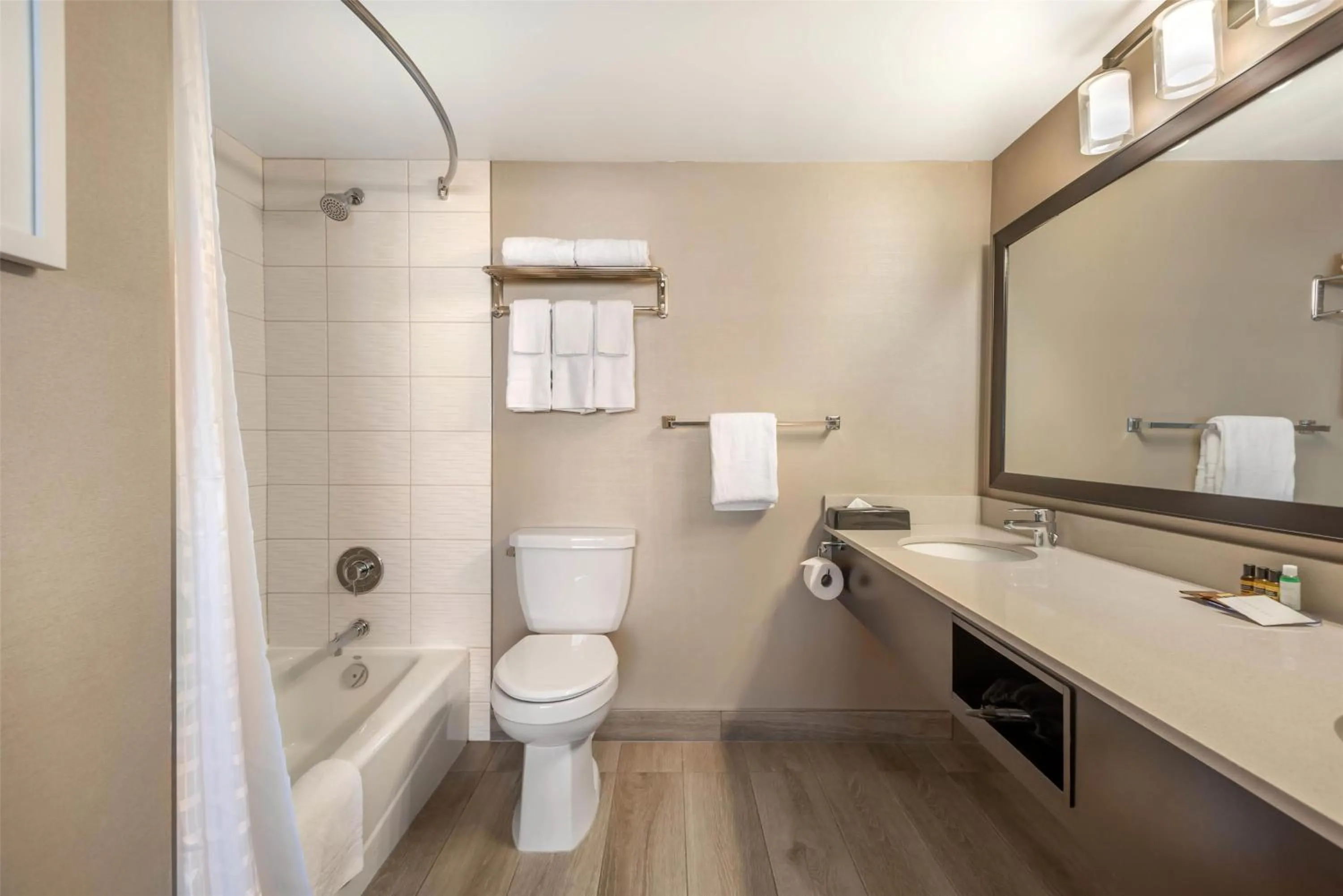 Bathroom in Best Western PLUS Calgary Centre Inn