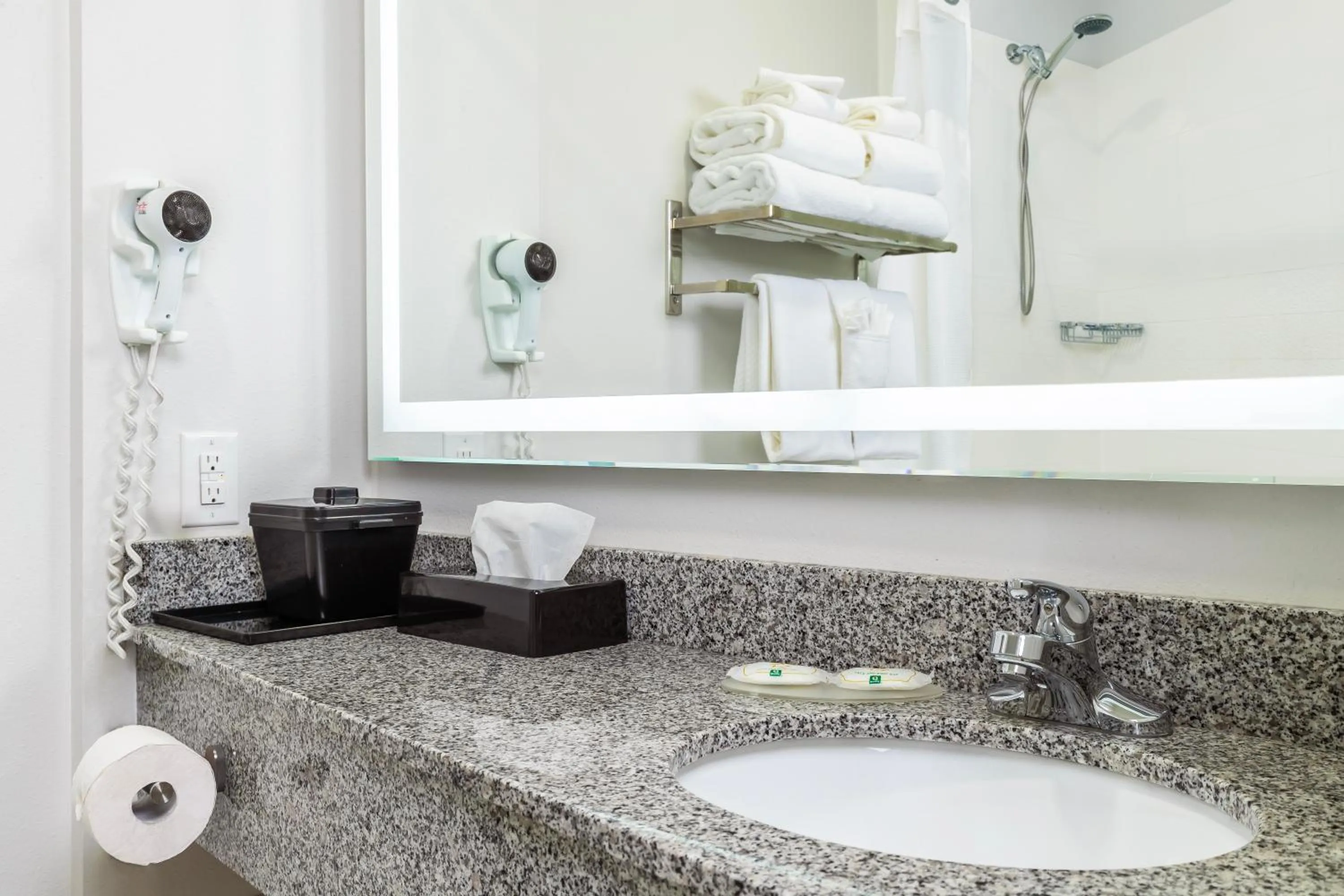 Toilet in Quality Inn & Suites