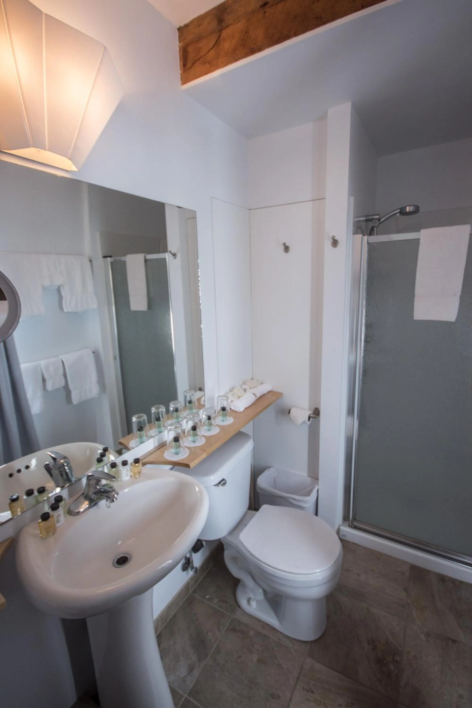Superior Double Room in Hotel Belley