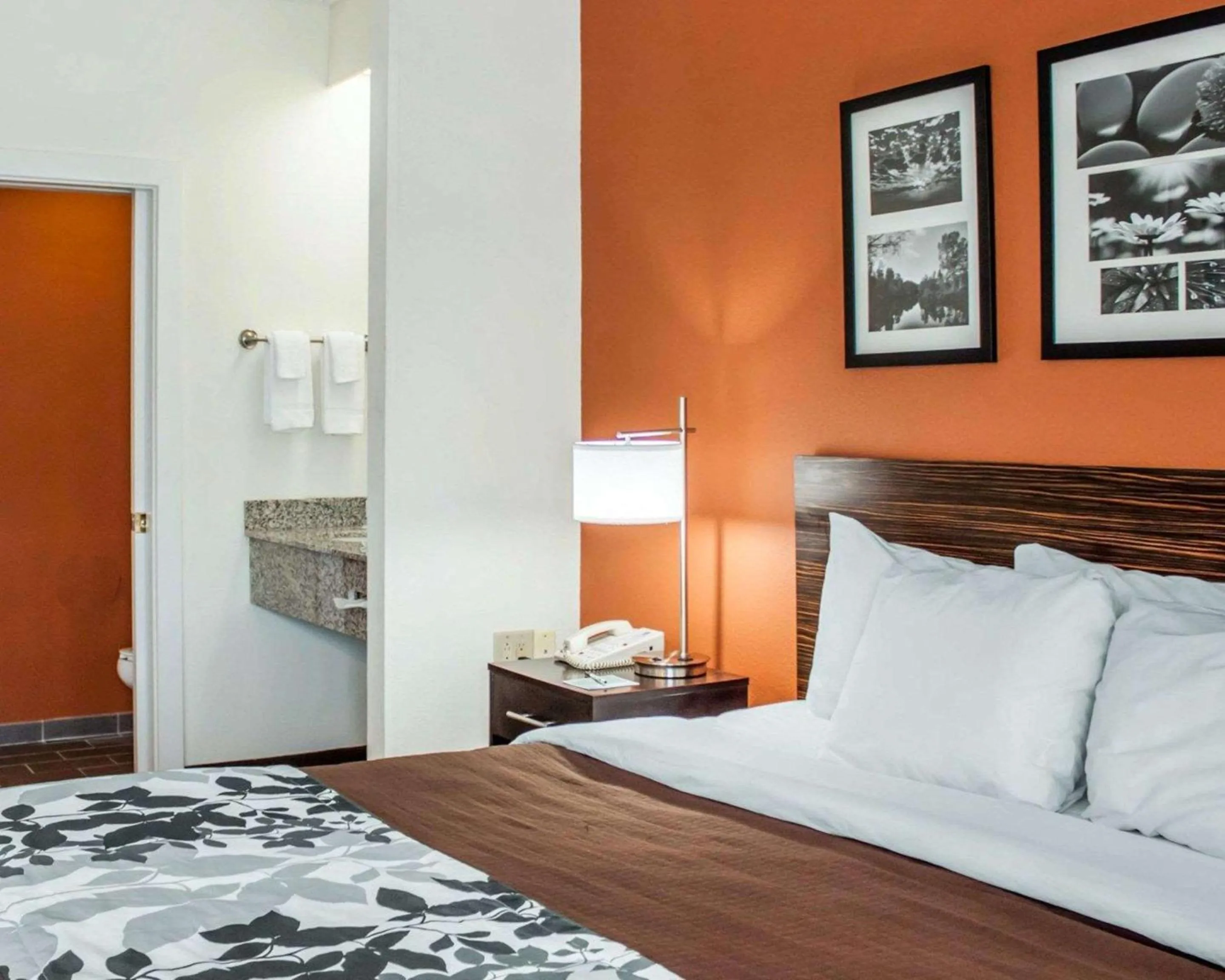 Photo of the whole room, Bed in Sleep Inn North Charleston Ashley Phosphate