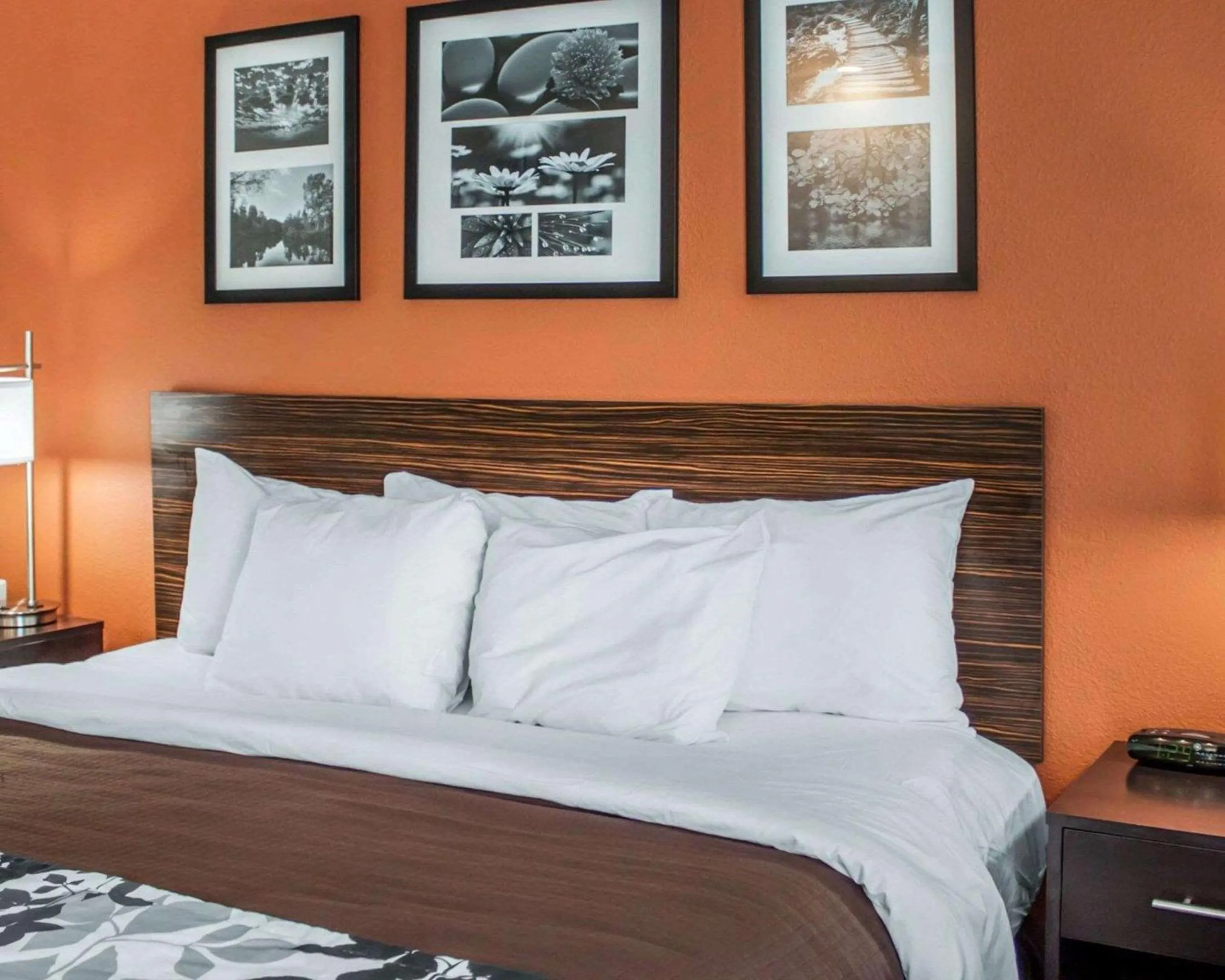 Photo of the whole room, Bed in Sleep Inn North Charleston Ashley Phosphate