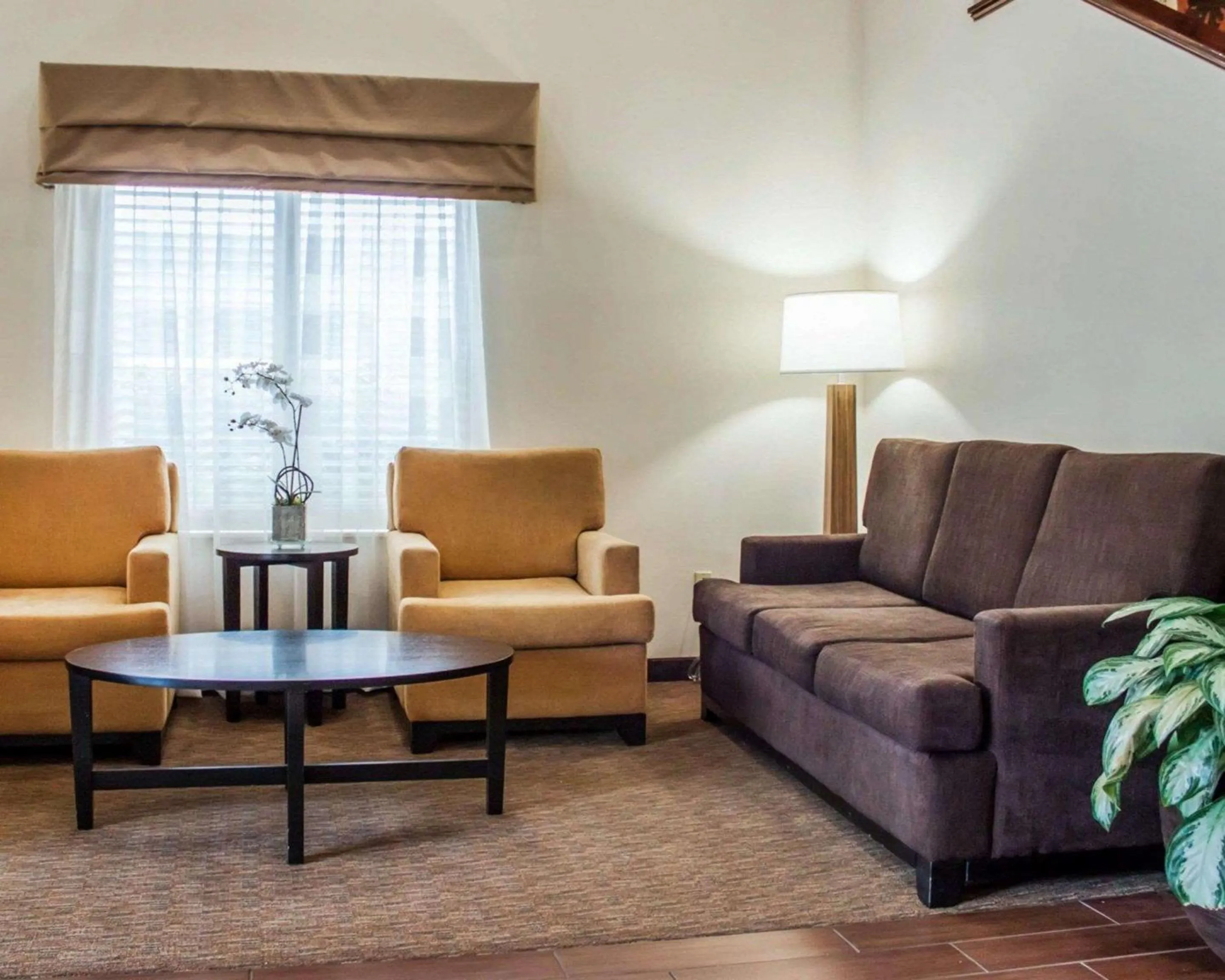 Lobby or reception in Sleep Inn North Charleston Ashley Phosphate