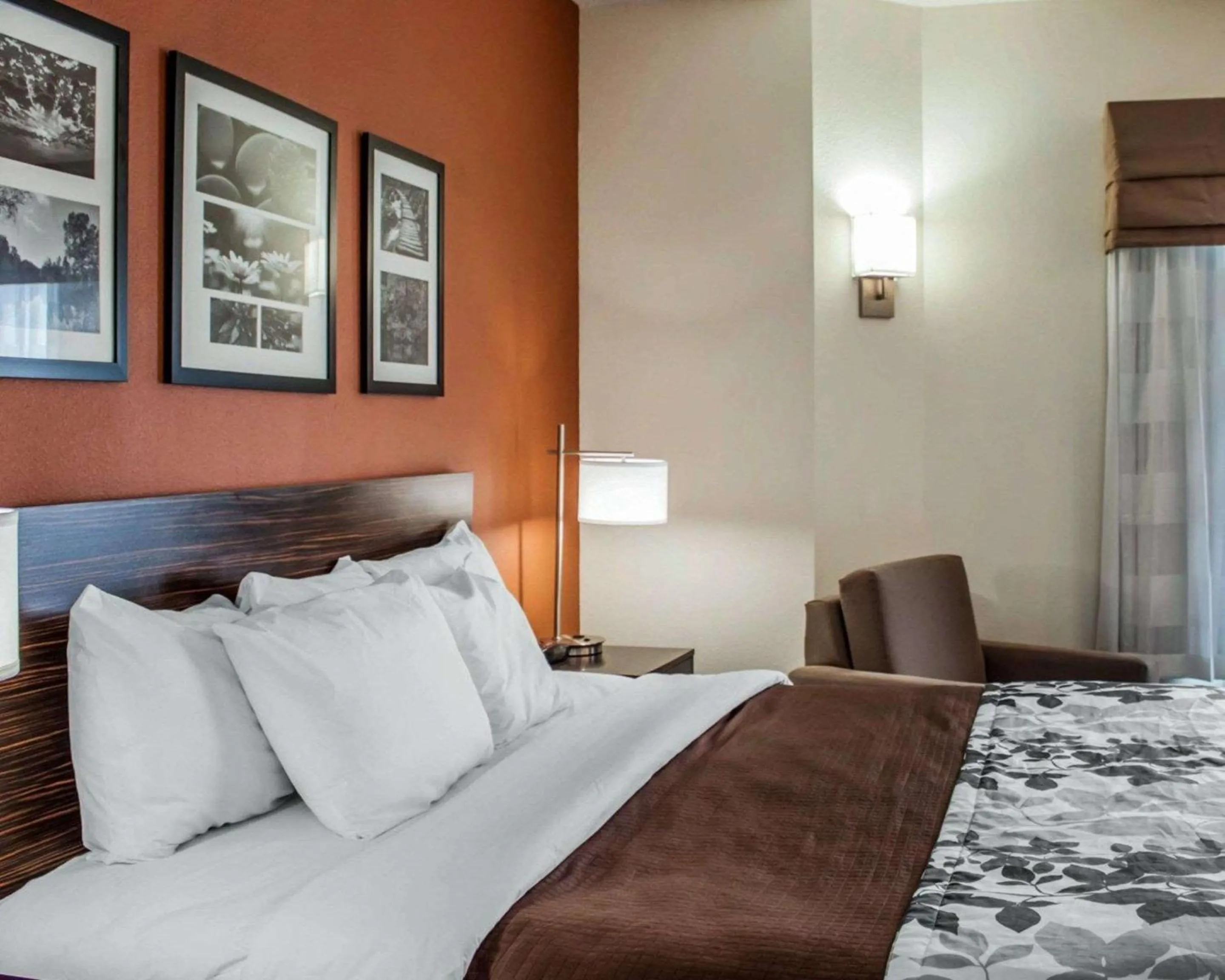 Photo of the whole room, Bed in Sleep Inn North Charleston Ashley Phosphate