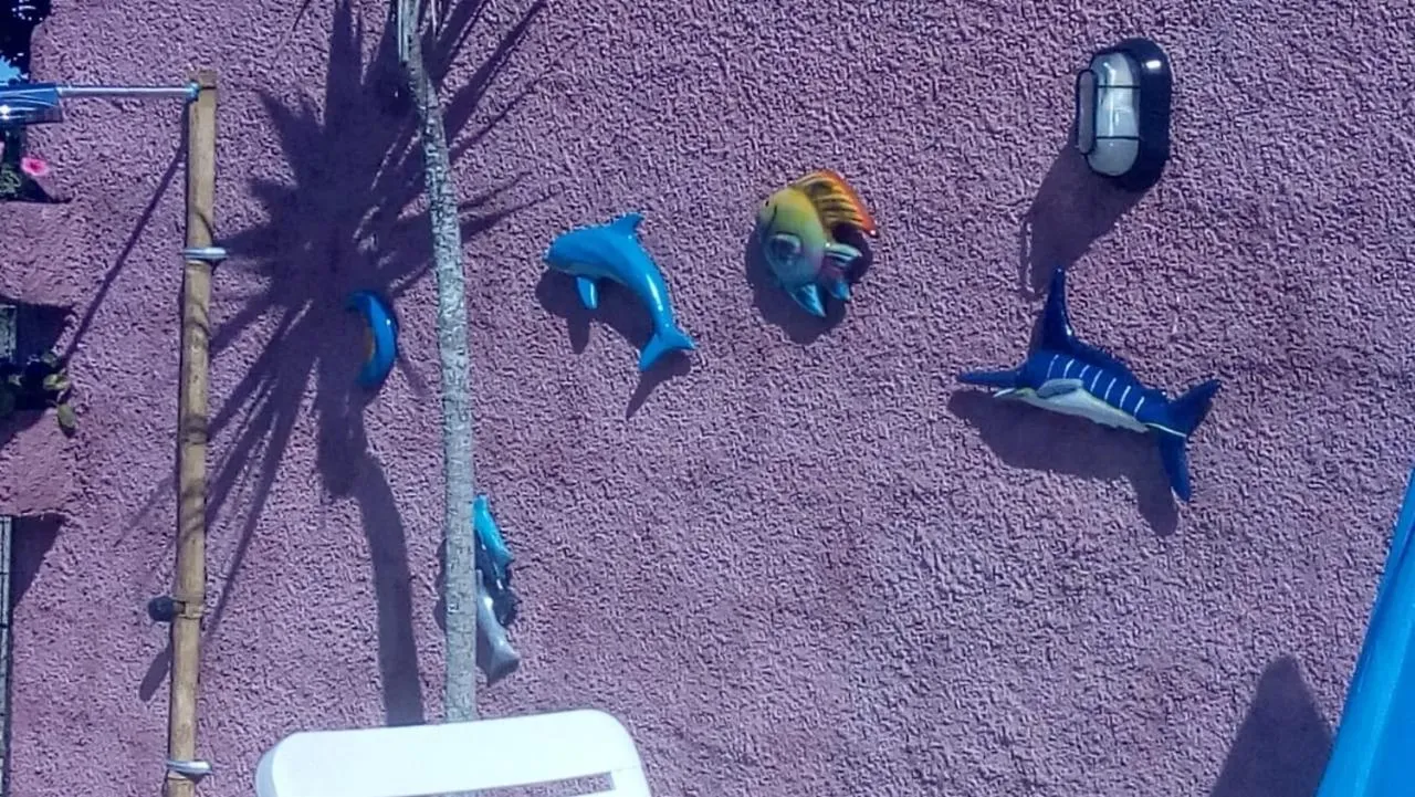 Swimming pool in Casa Baia da Babitonga