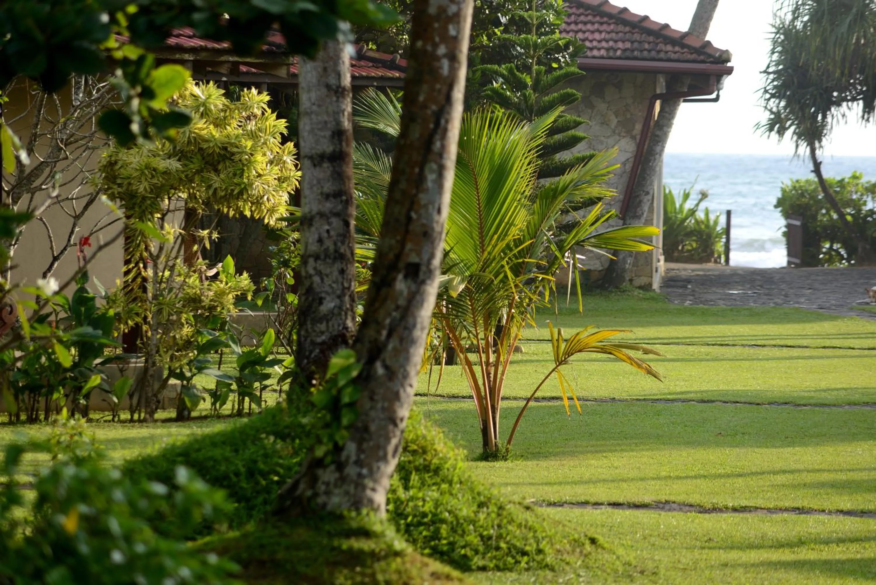 Garden in Weligama Bay Resort