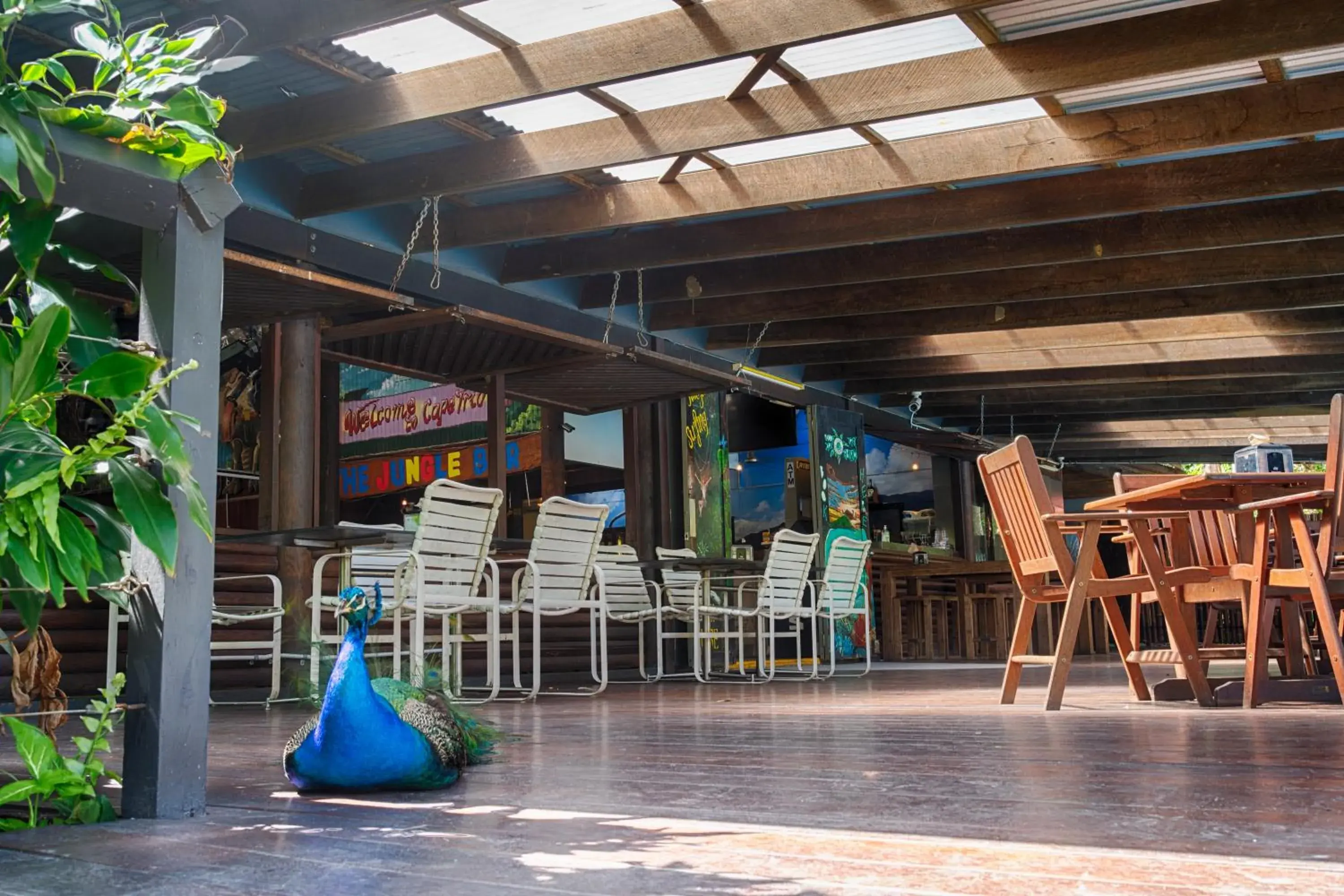 Restaurant/places to eat in PK's Jungle Village Restaurant/places to eat in PK's Jungle Village