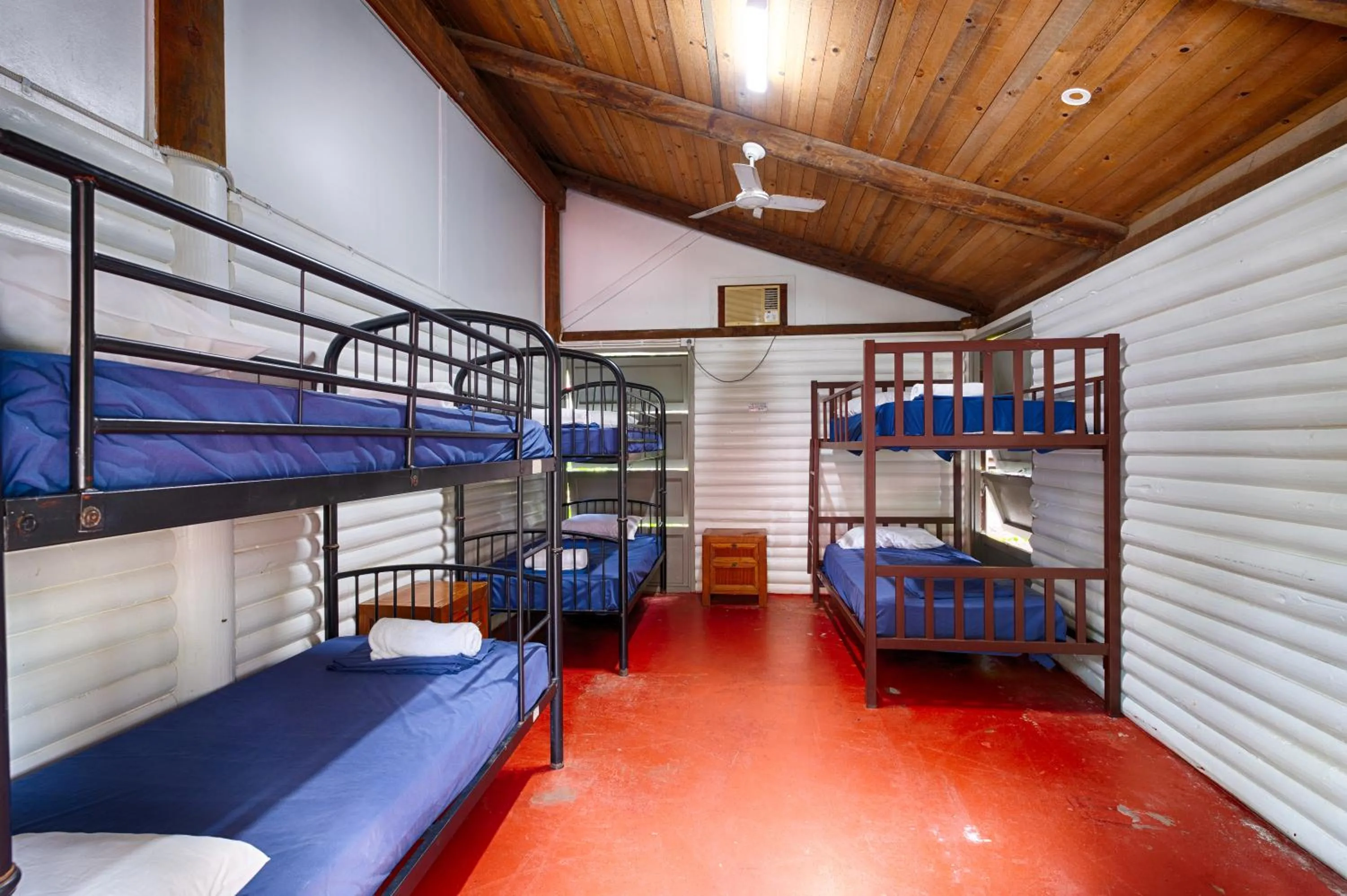 bunk bed, Bed in PK's Jungle Village