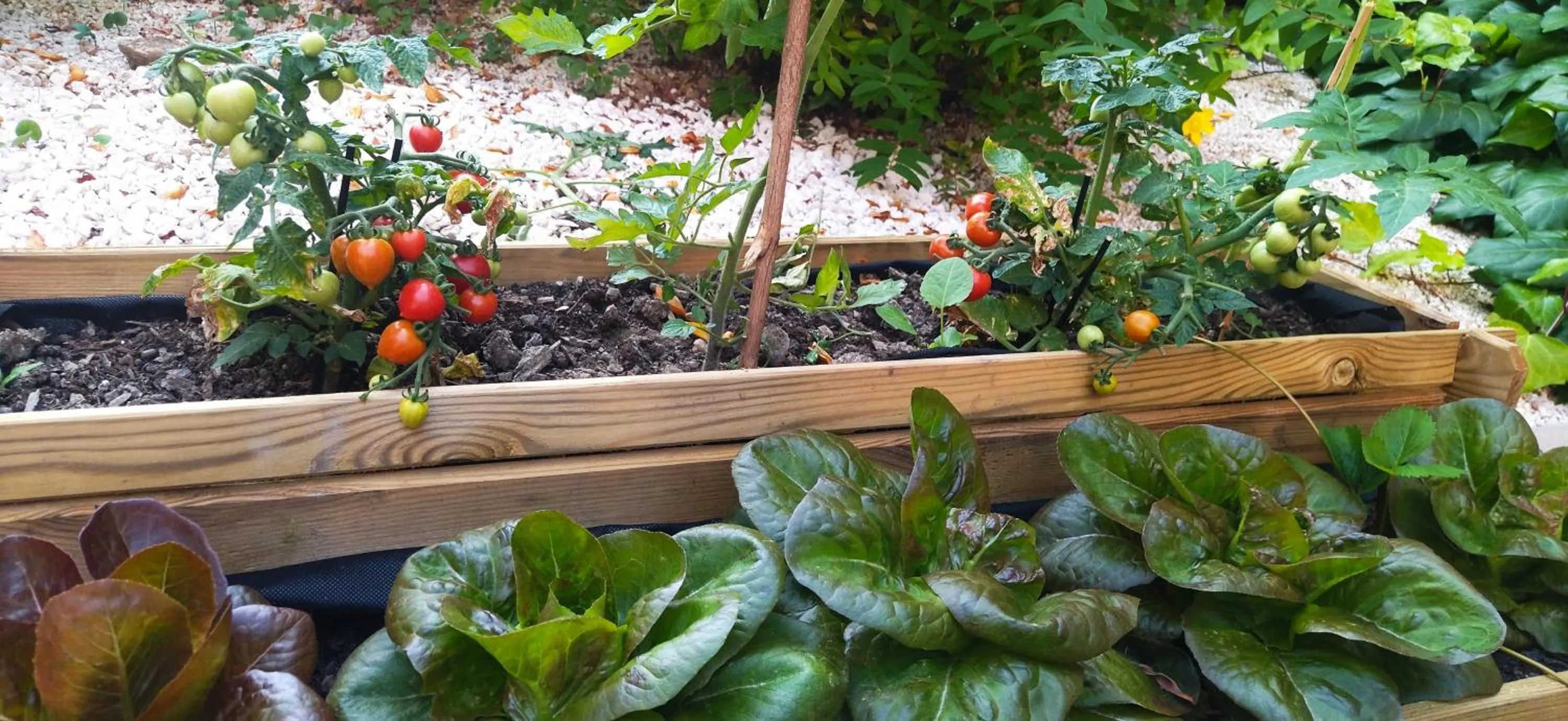 Patio in Best Western Hôtel Journel Saint-Laurent-du-Var Aéroport