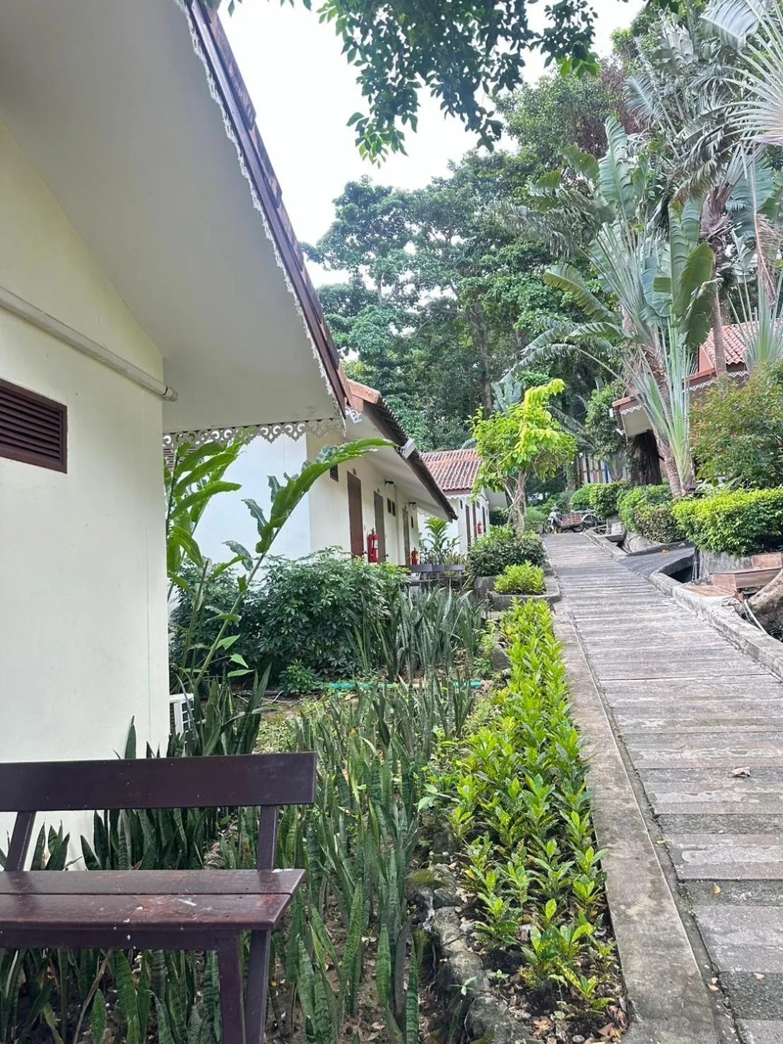 Garden view in Chang Cliff Resort