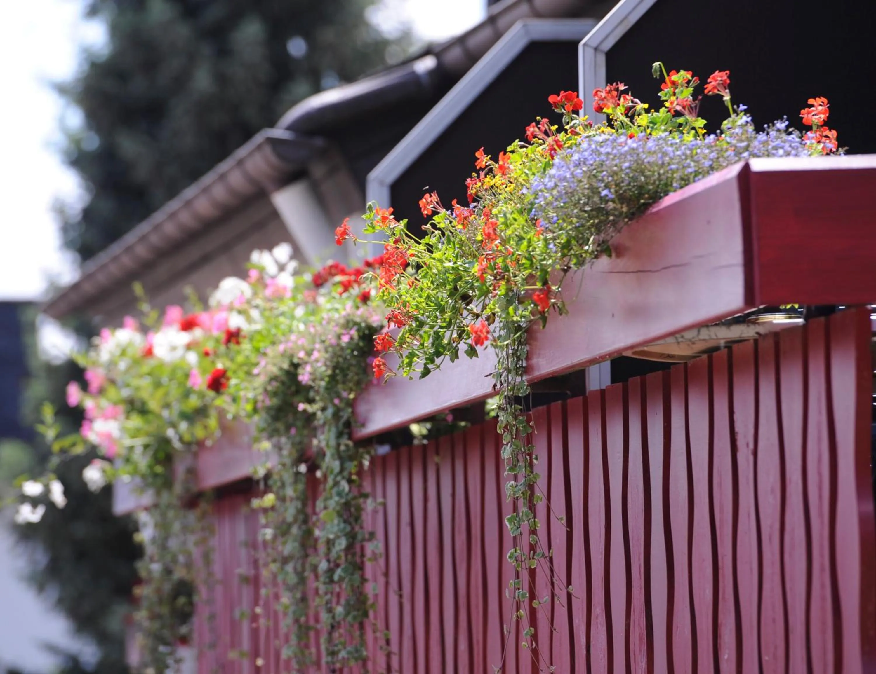 Other in Hotel an der Sonne & Restaurant Zum Schneiger