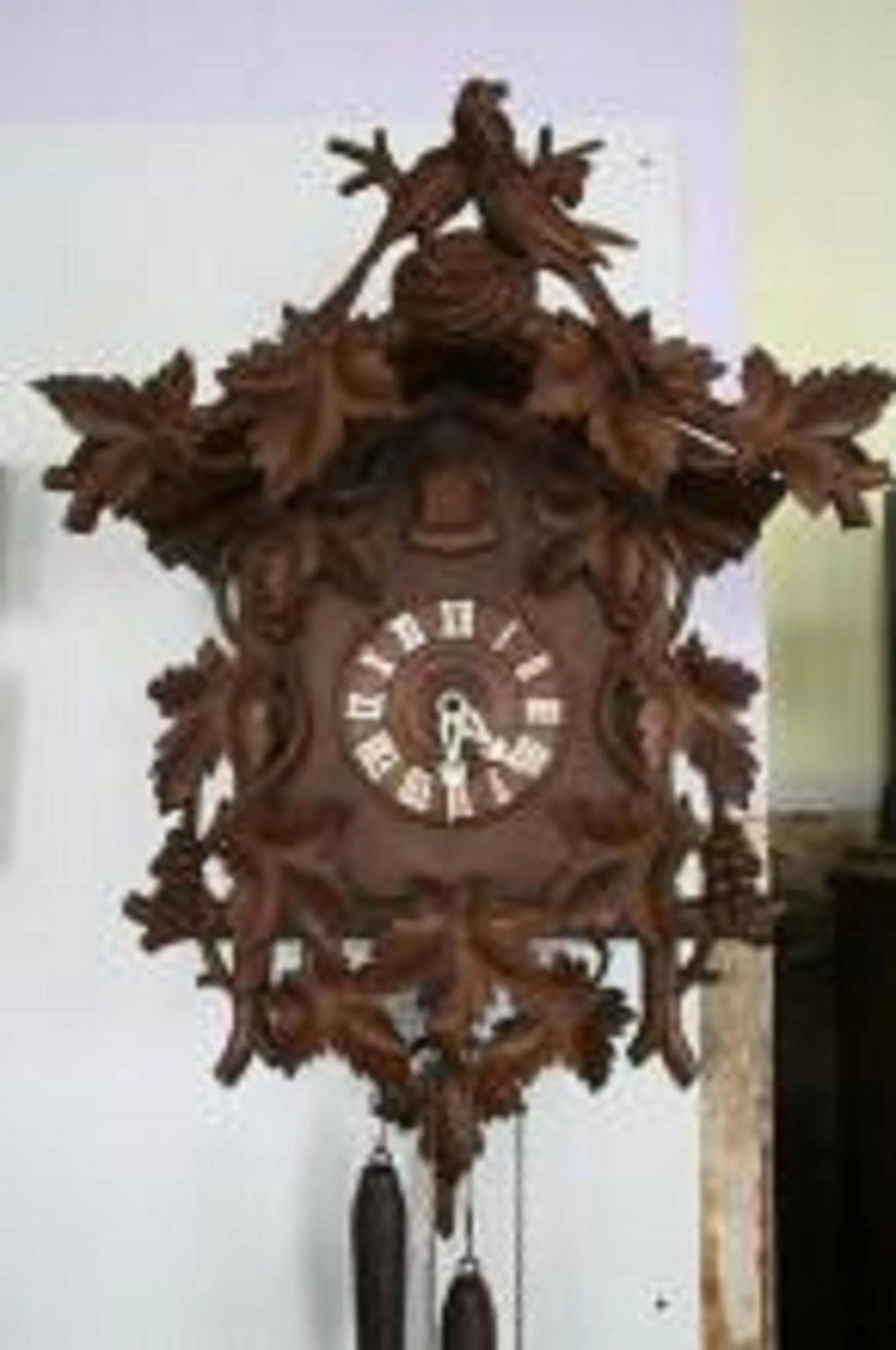 Other in Hotel an der Sonne & Restaurant Zum Schneiger