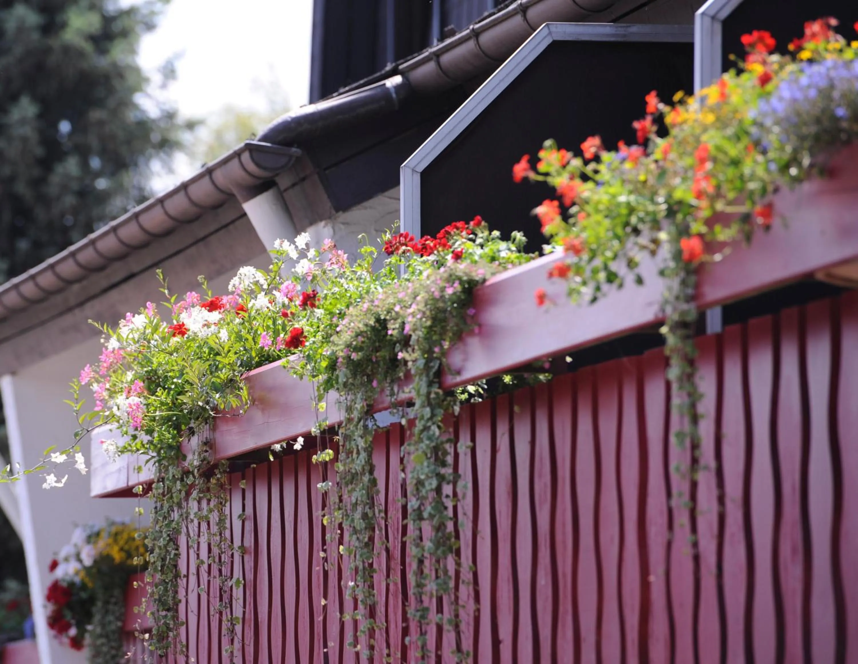 Property building in Hotel an der Sonne & Restaurant Zum Schneiger