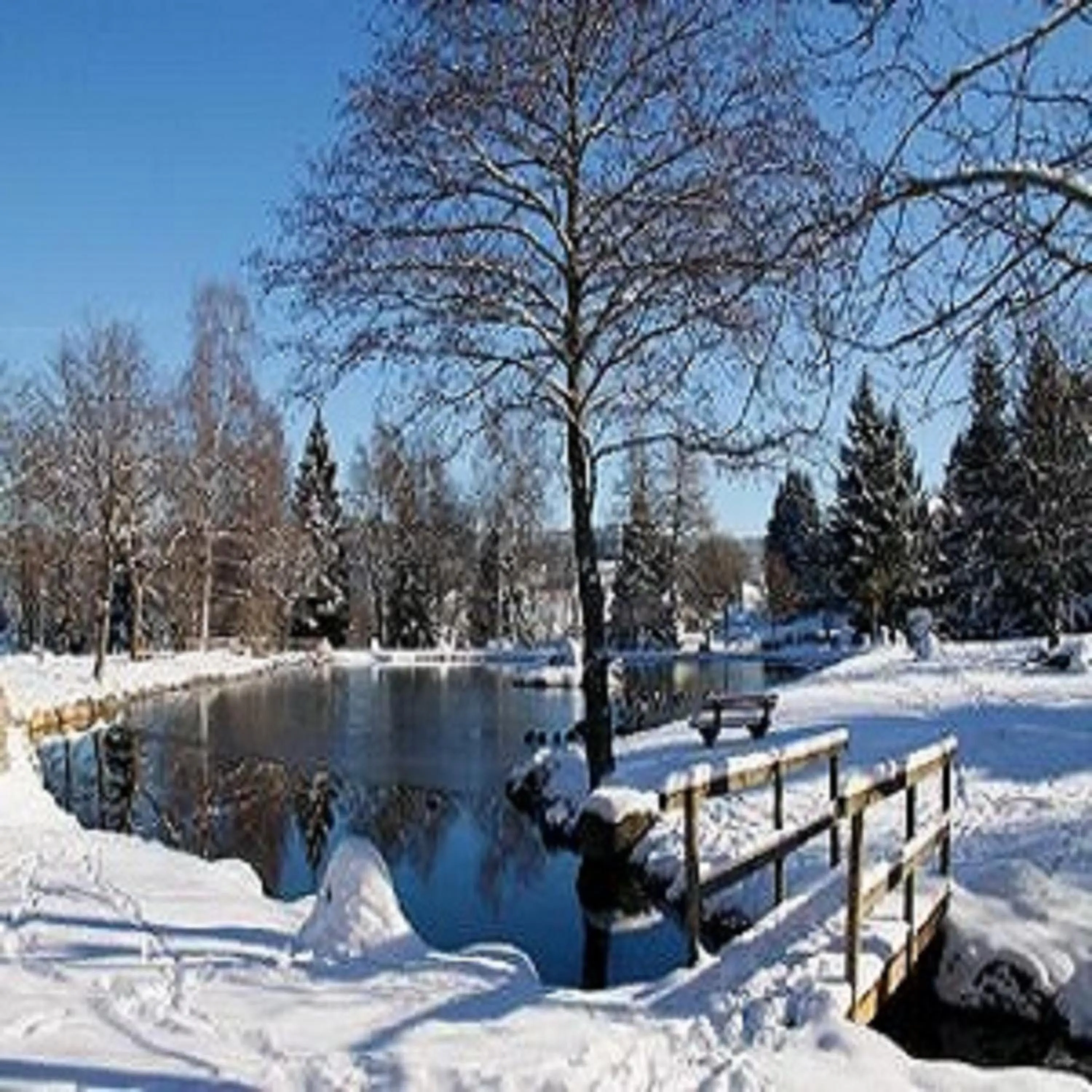 Natural landscape in Hotel an der Sonne & Restaurant Zum Schneiger
