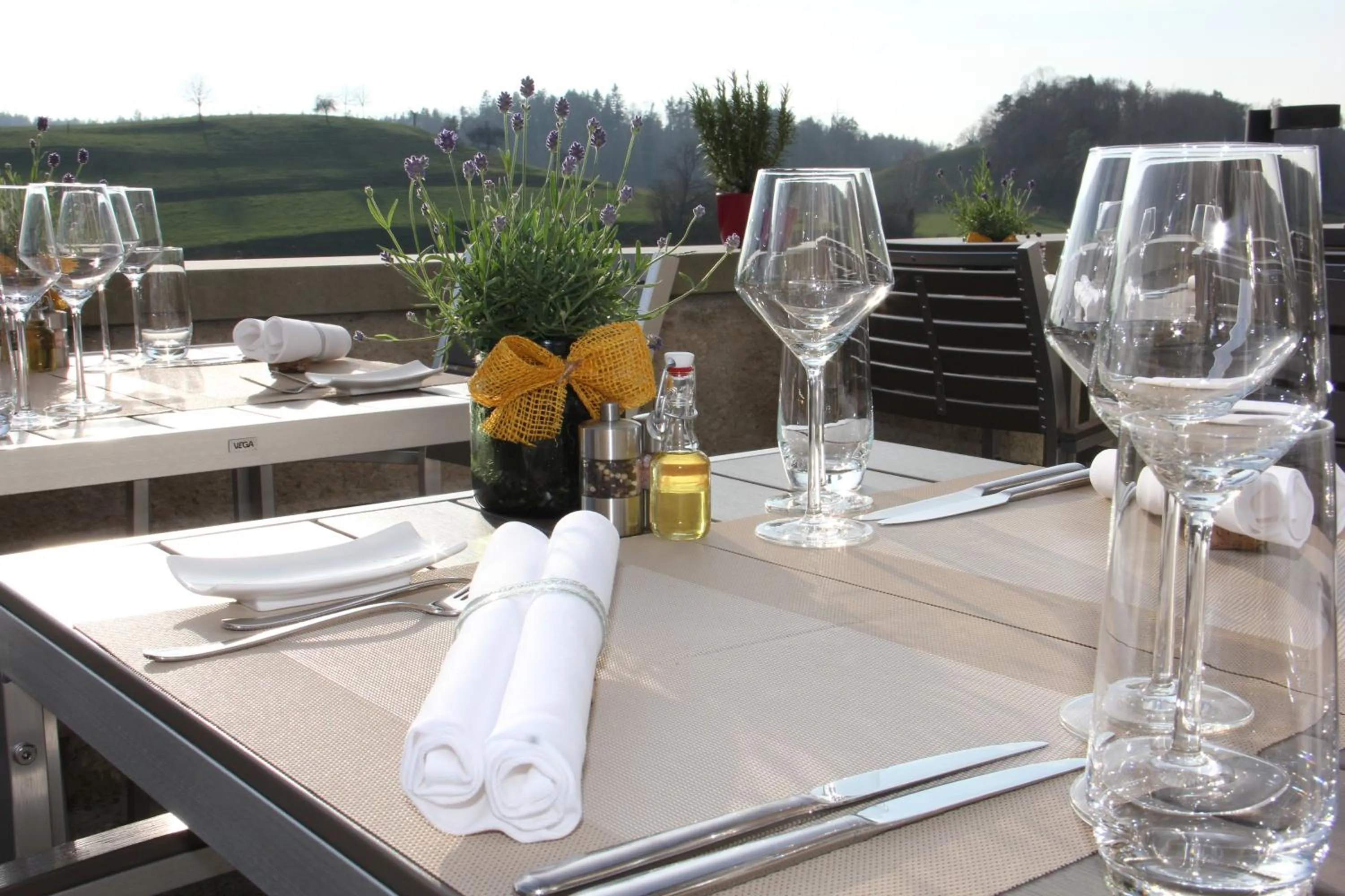 Restaurant/places to eat in Hotel & Restaurant Schloss Schwandegg