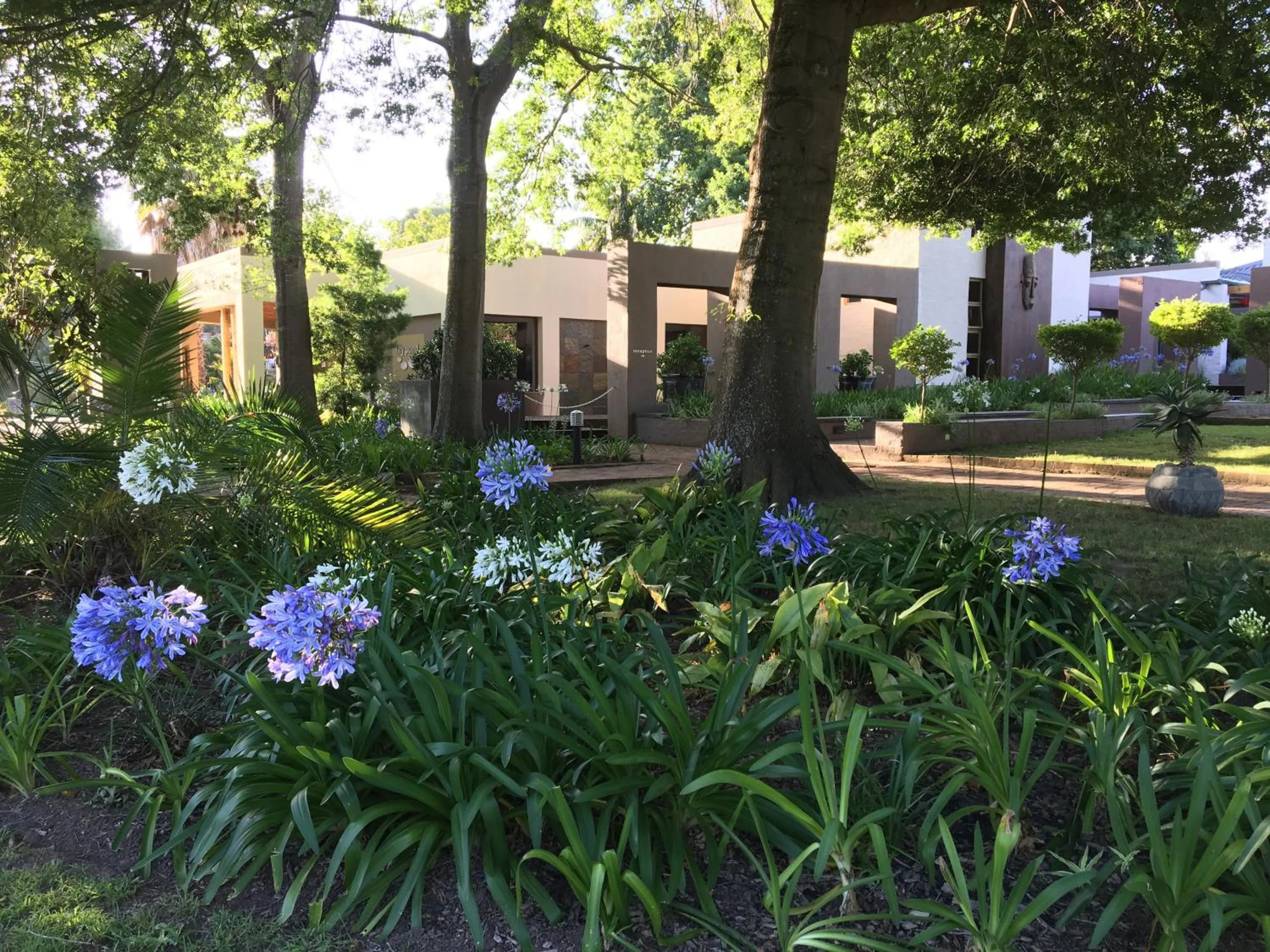 Property building in Lily Pond Country Lodge