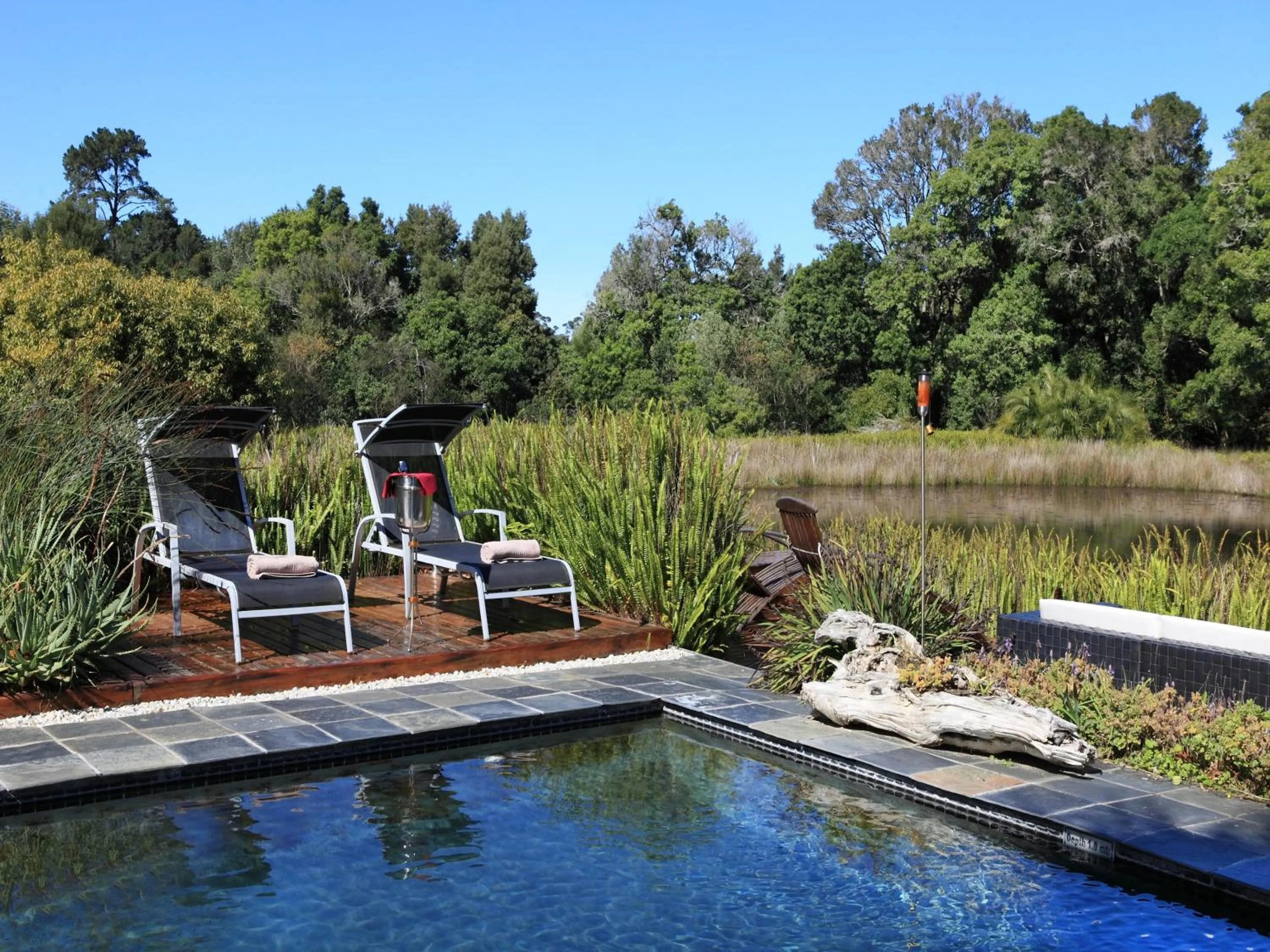 Day in Lily Pond Country Lodge