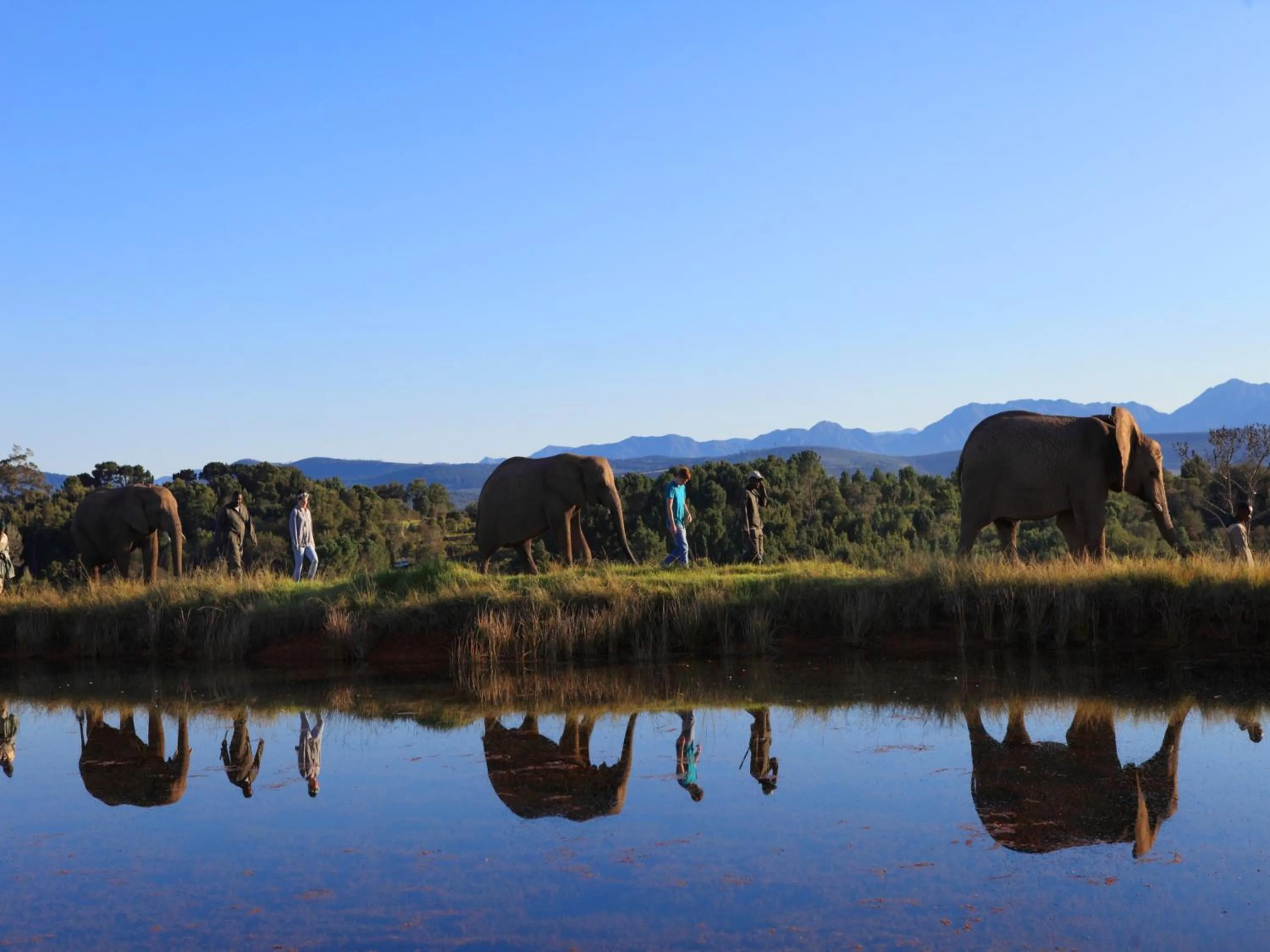 Day in Lily Pond Country Lodge