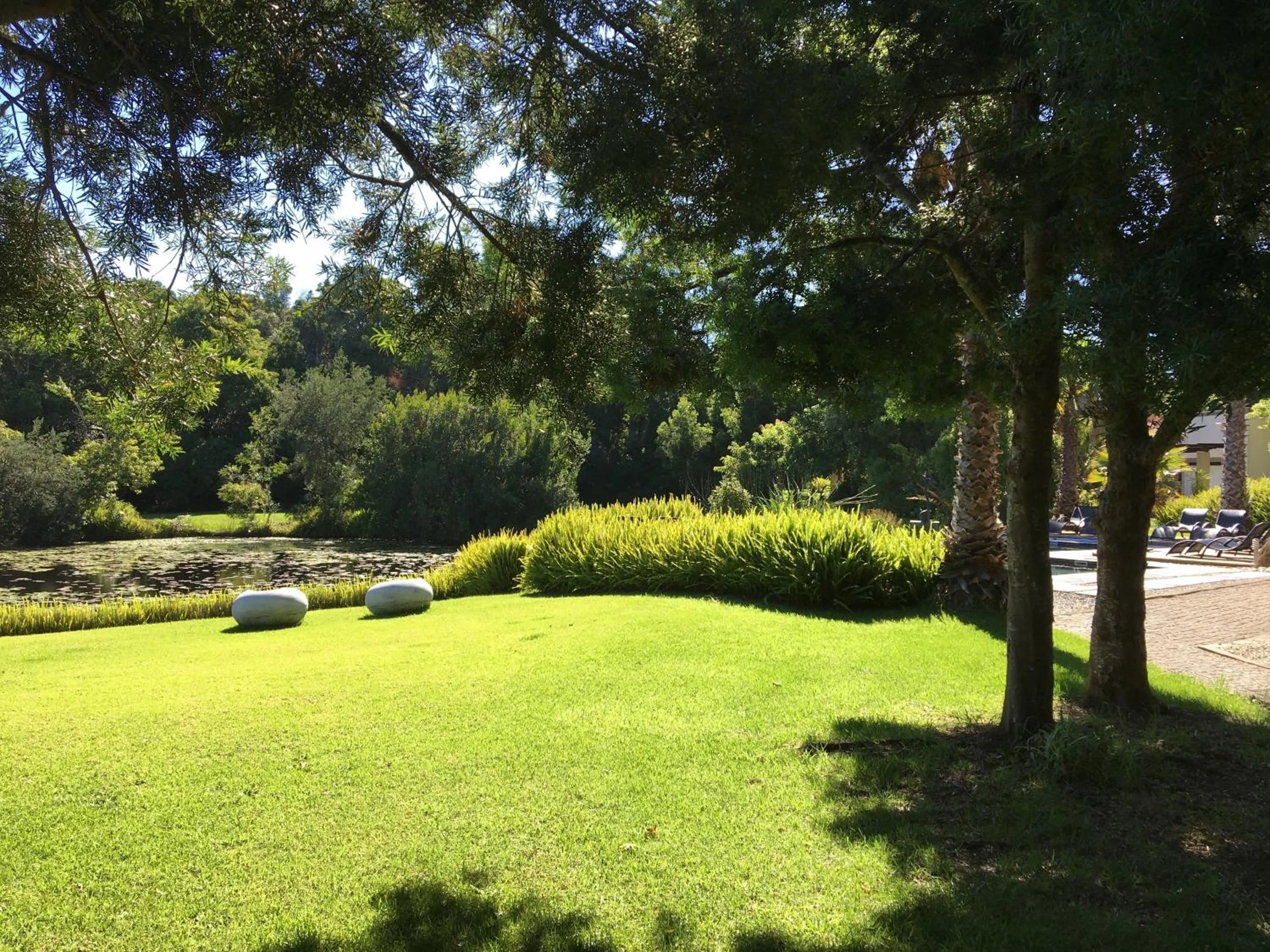 Natural landscape in Lily Pond Country Lodge