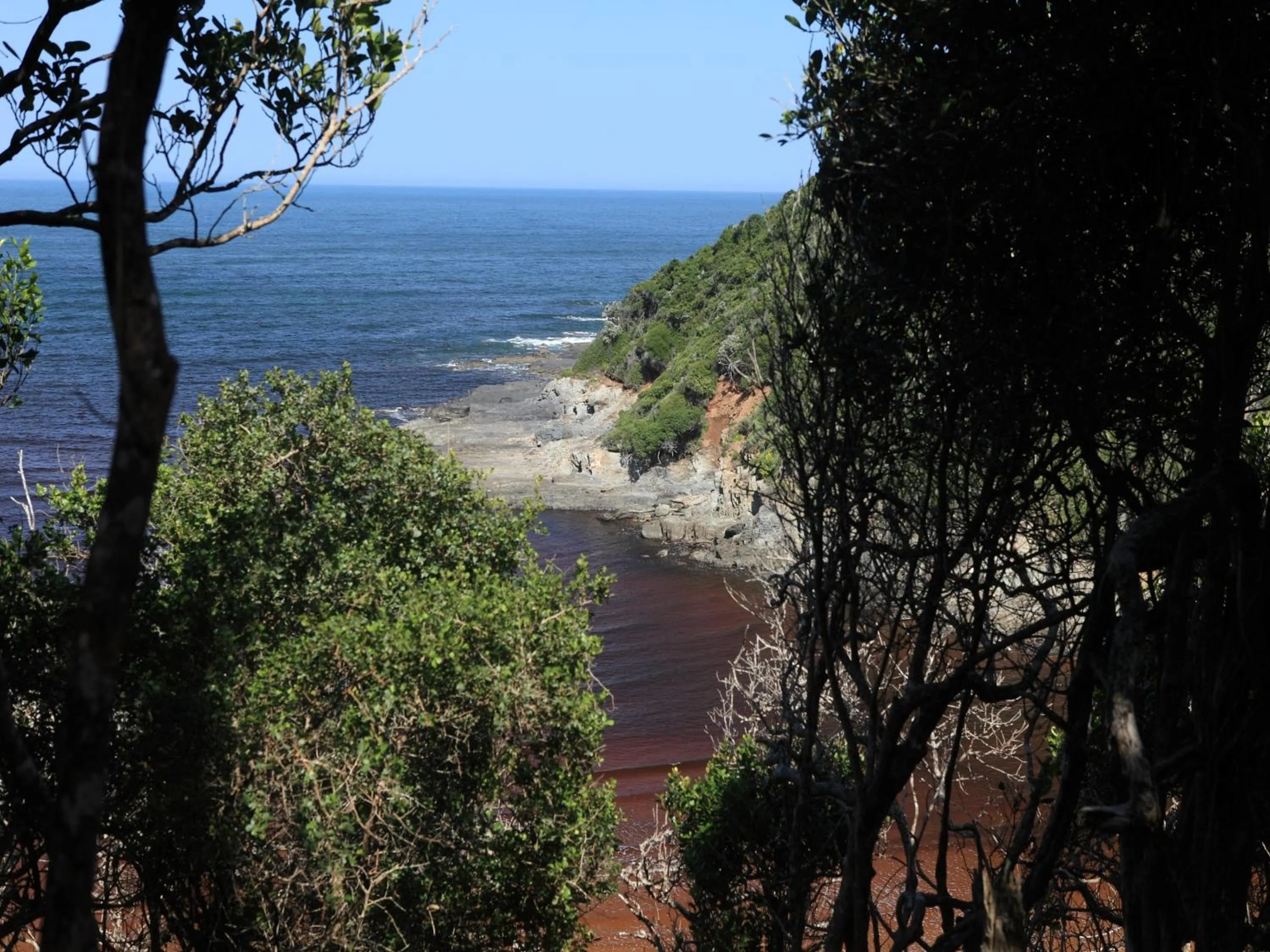 Day in Lily Pond Country Lodge