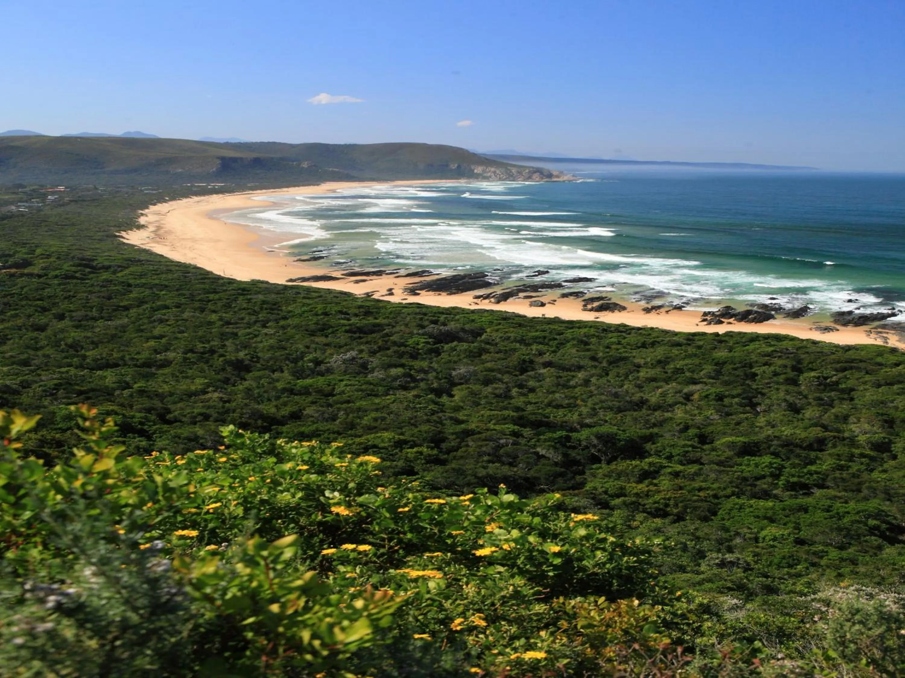 Day in Lily Pond Country Lodge