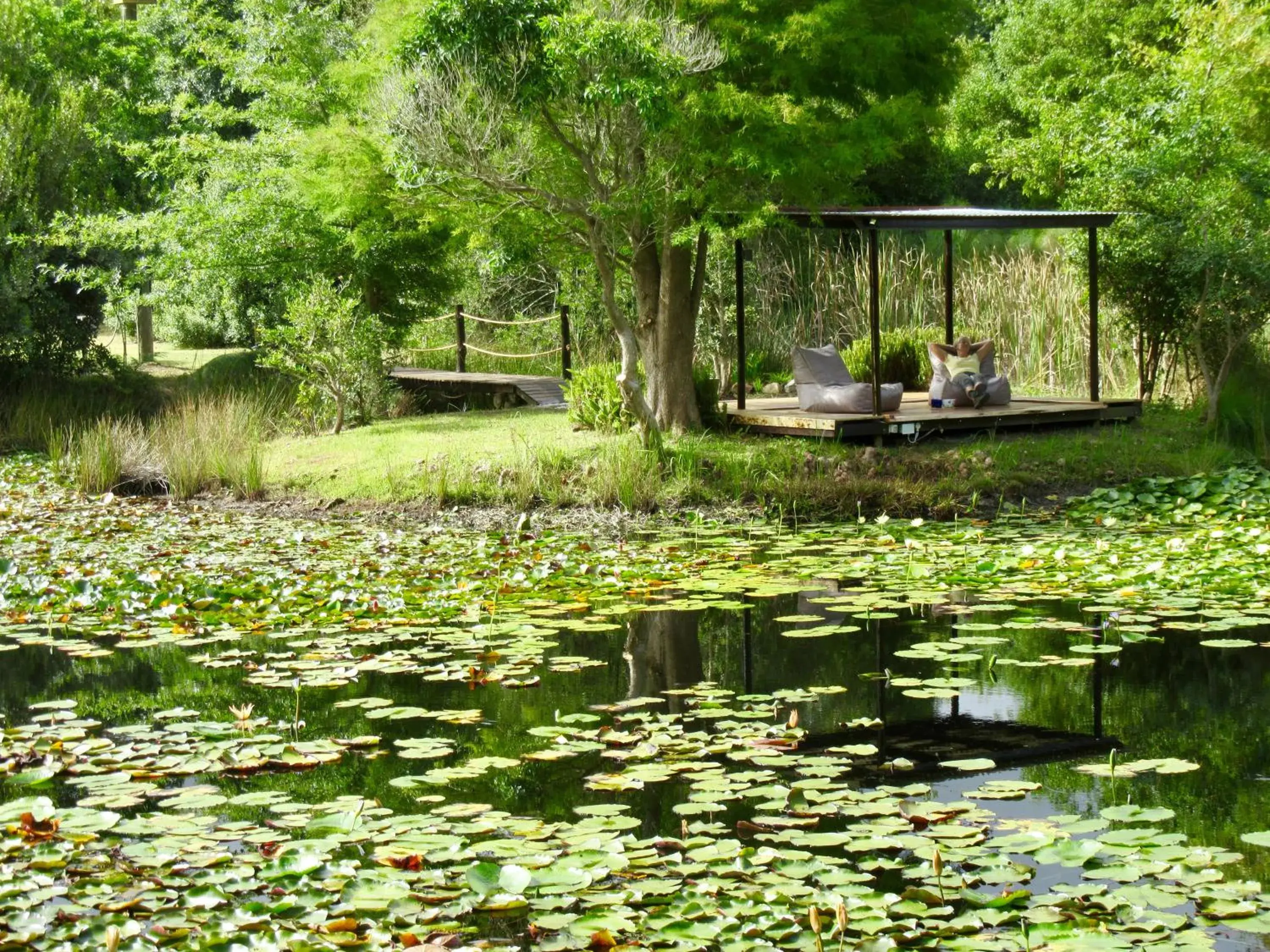 Restaurant/places to eat in Lily Pond Country Lodge Restaurant/places to eat in Lily Pond Country Lodge