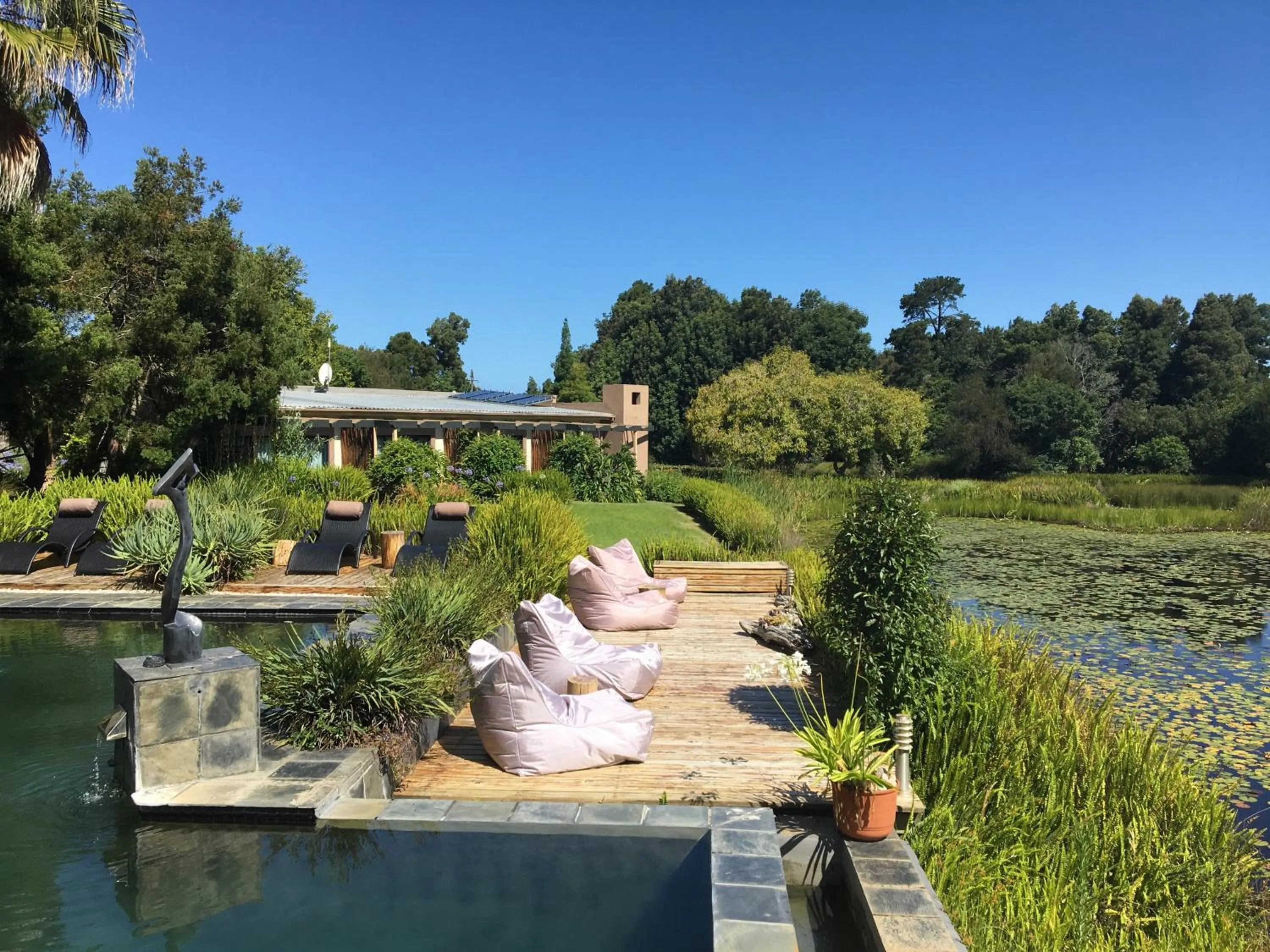 Garden in Lily Pond Country Lodge