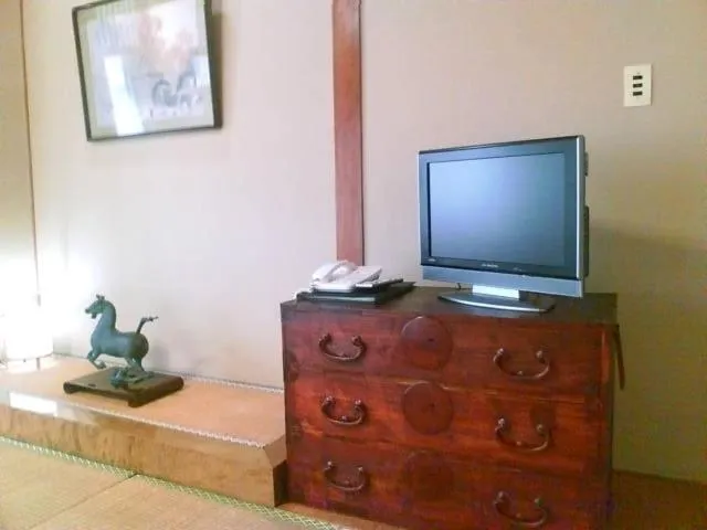 TV and multimedia in Kamesei Ryokan