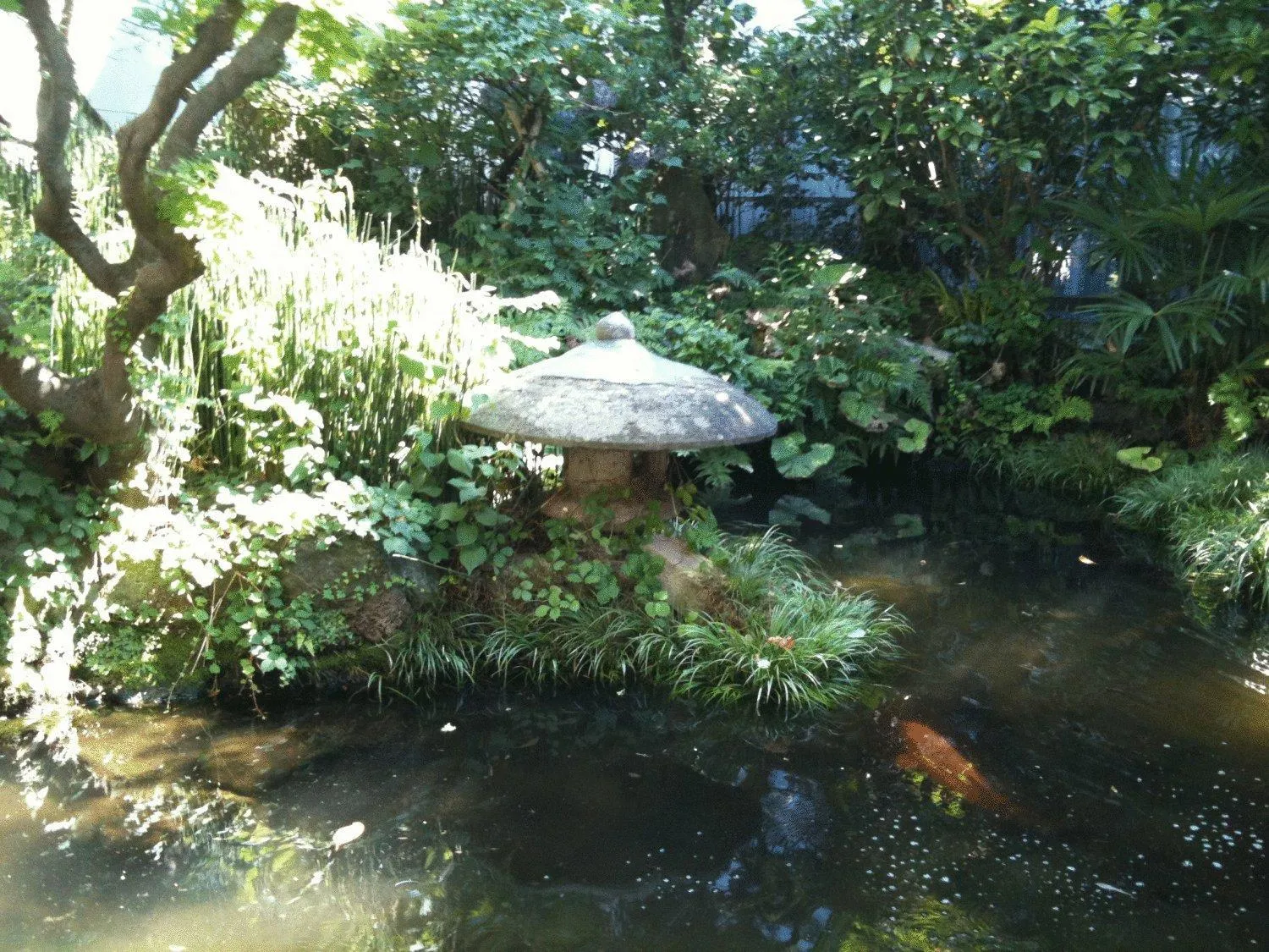 Garden in Kamesei Ryokan