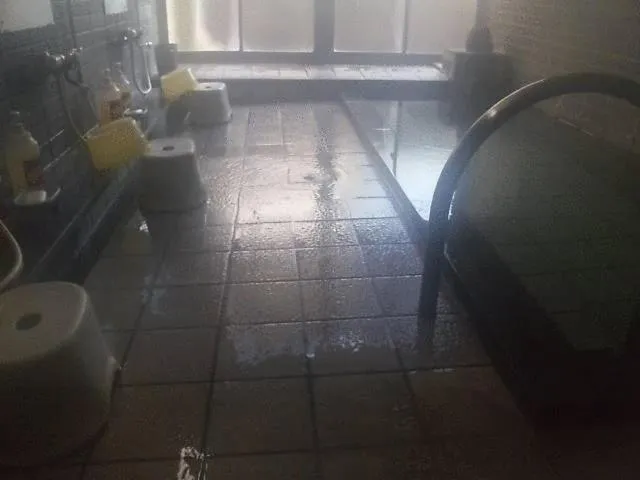 Hot Spring Bath in Kamesei Ryokan