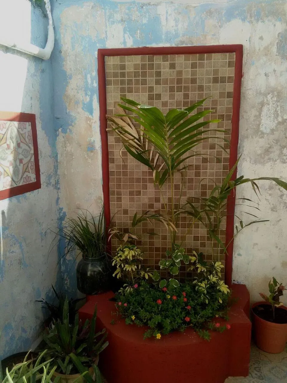 Property building in Balamku Hotel Petit