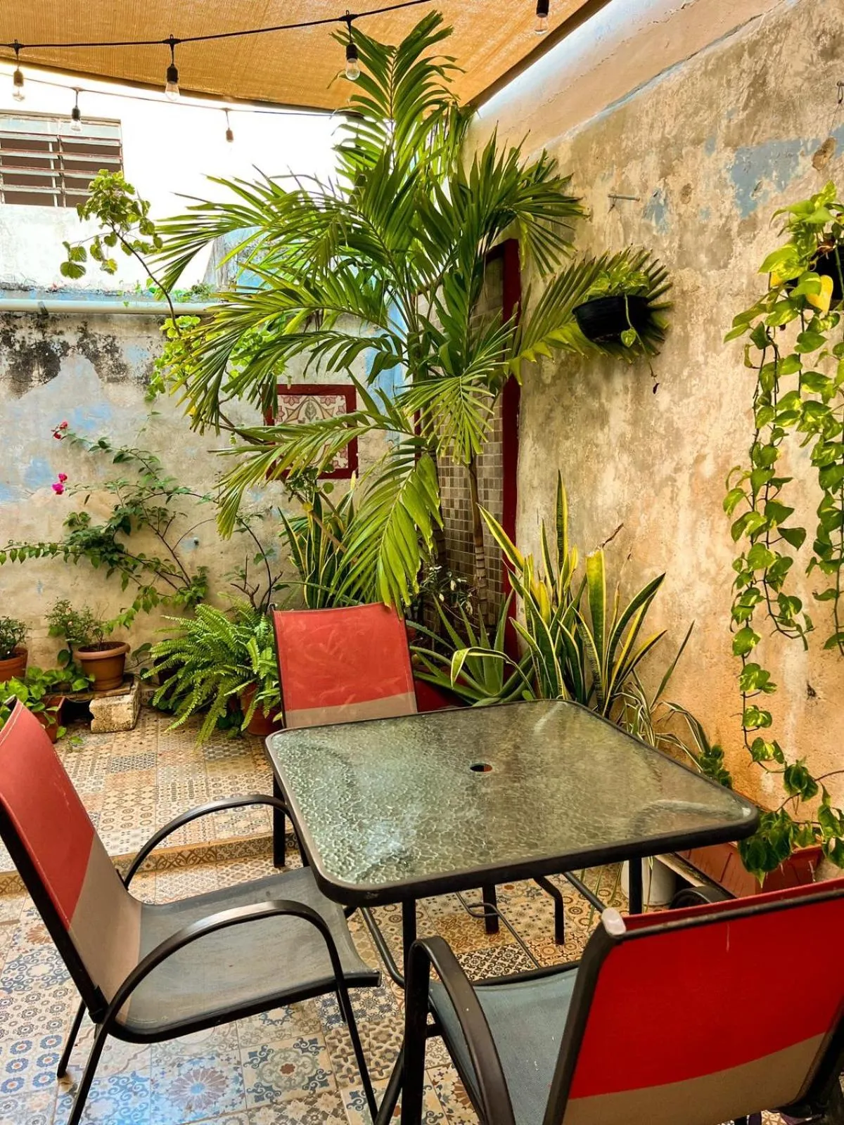 Patio in Balamku Hotel Petit