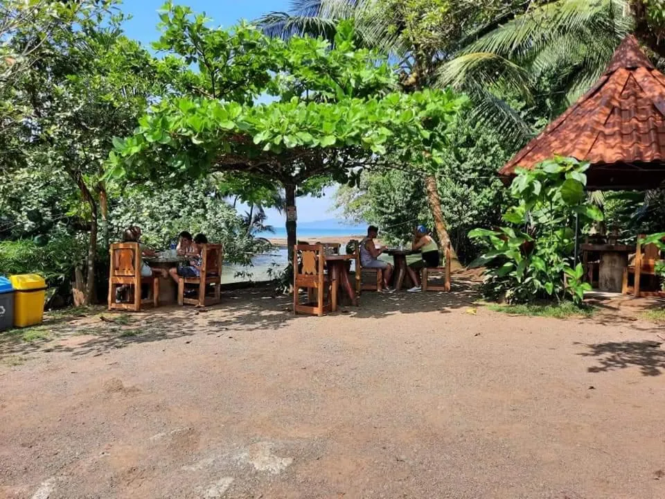 Patio in Casa el Tortugo