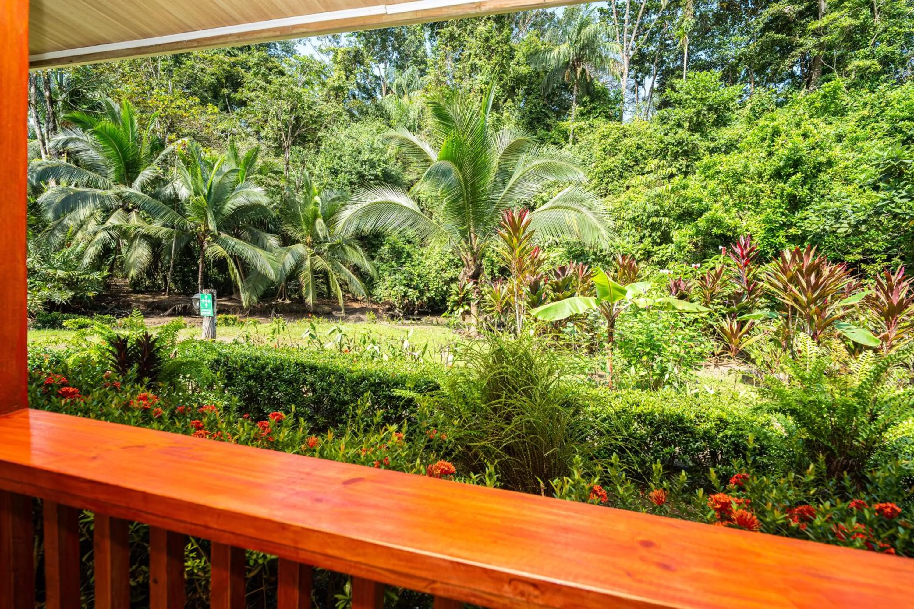 Garden view in Casa el Tortugo