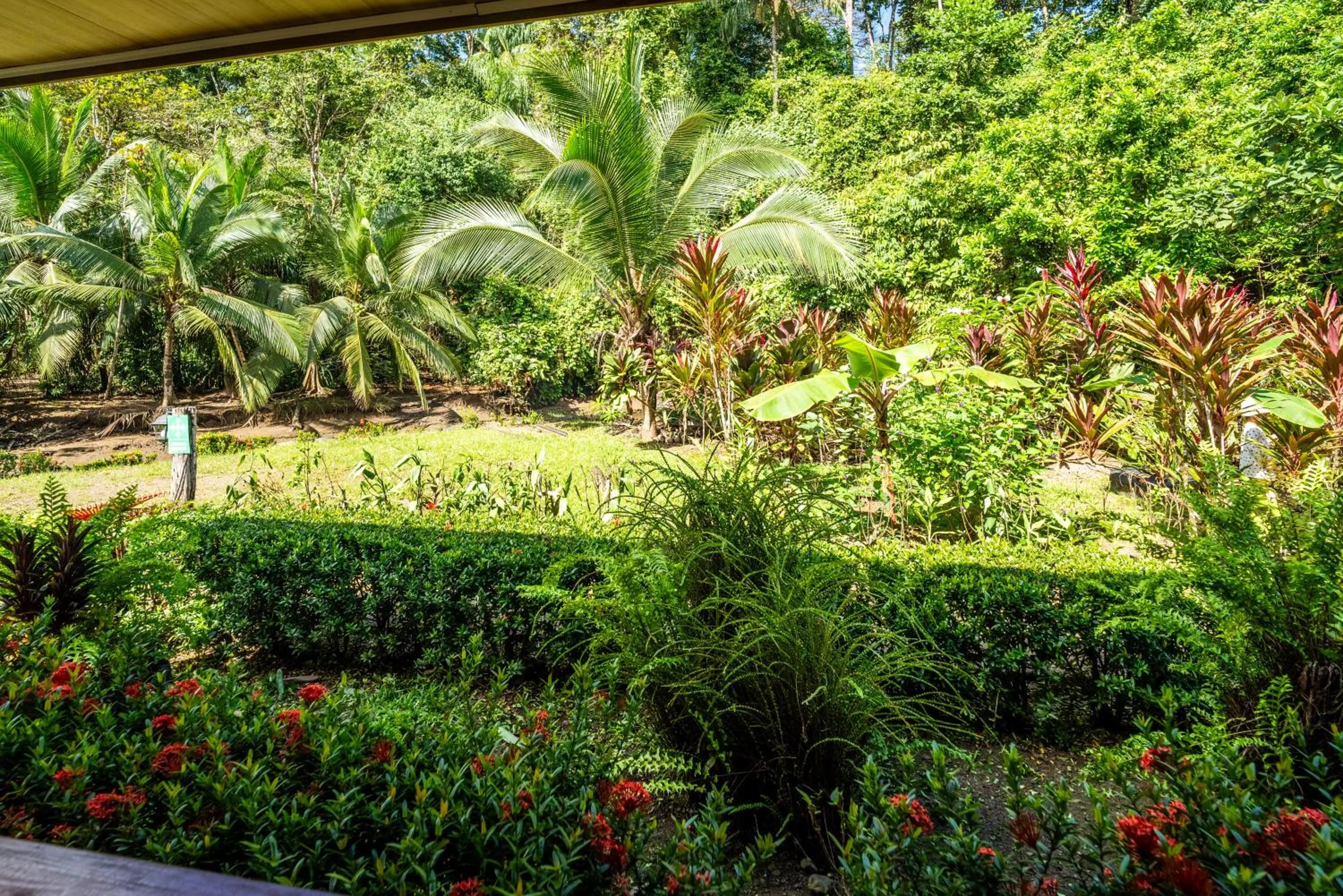 Garden in Casa el Tortugo