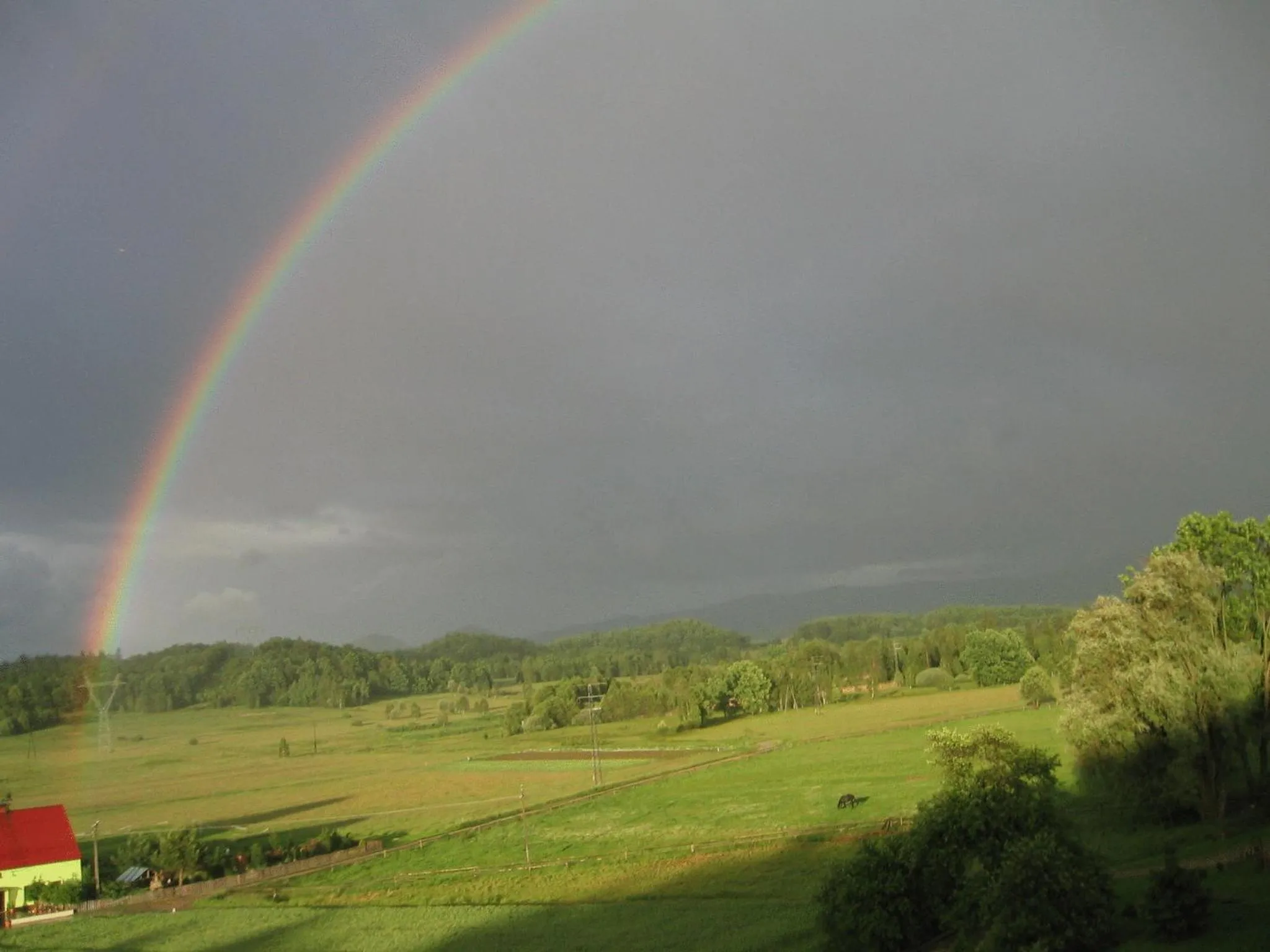 Area and facilities in Rezydencja Villa Nova