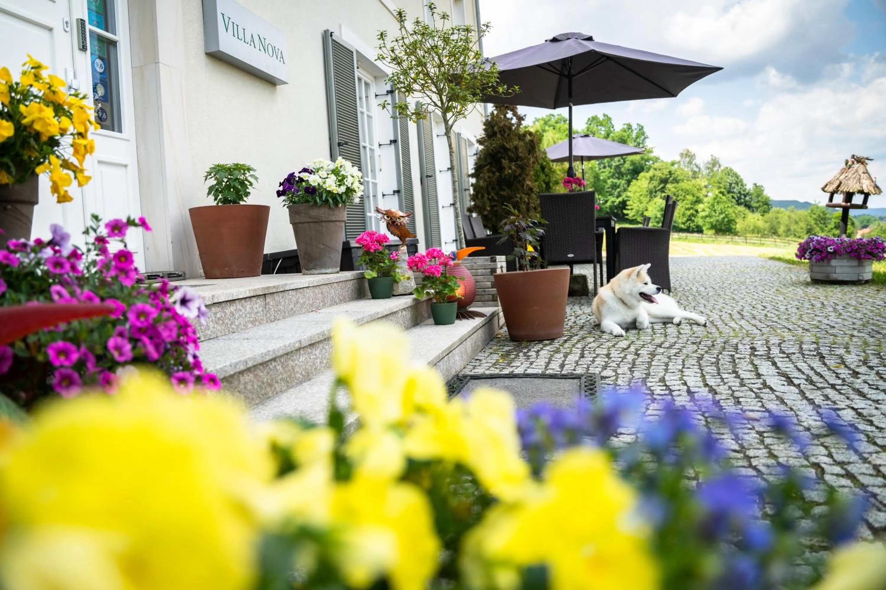 Property building in Rezydencja Villa Nova