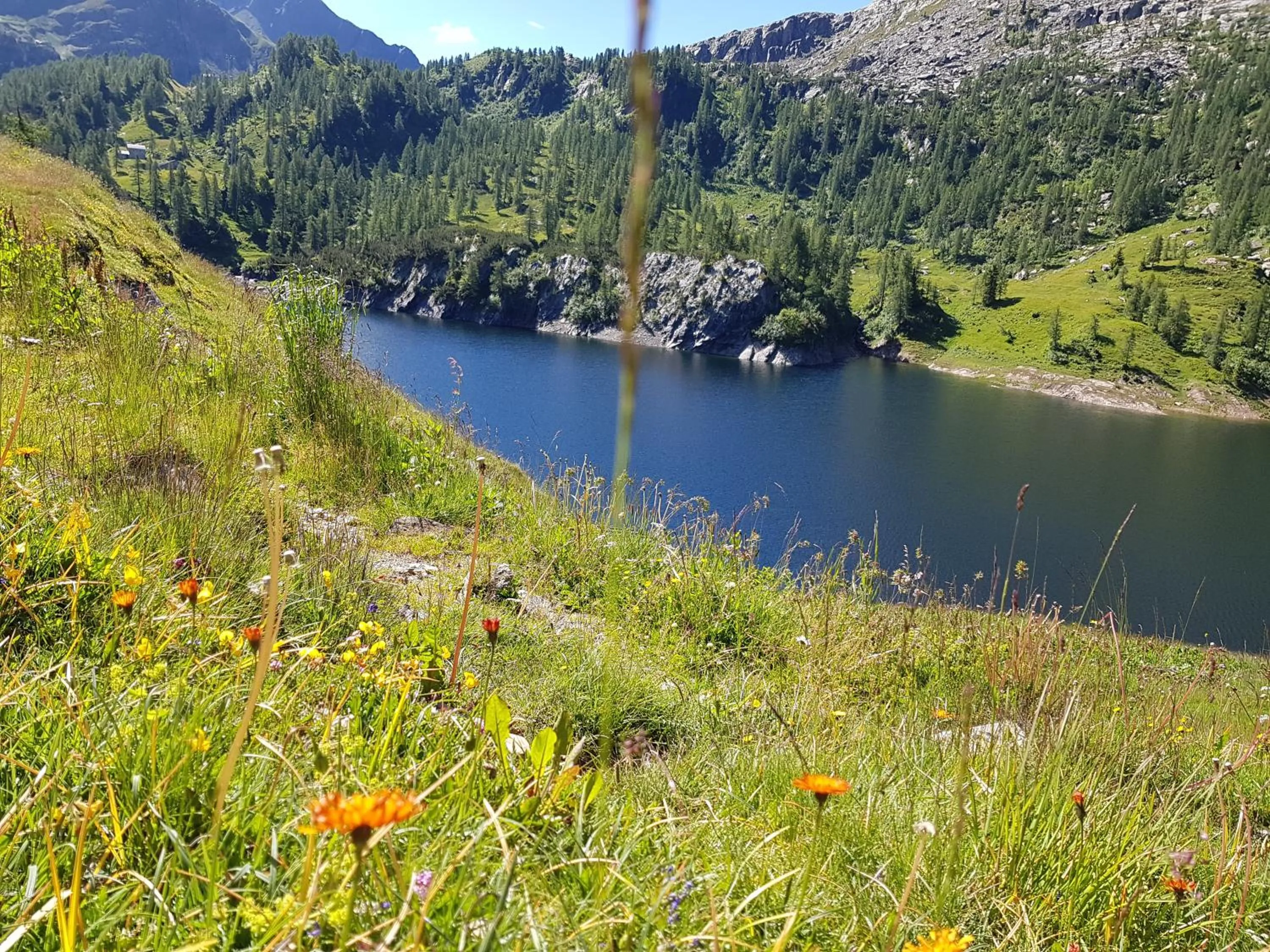 Other in Hotel Pedretti