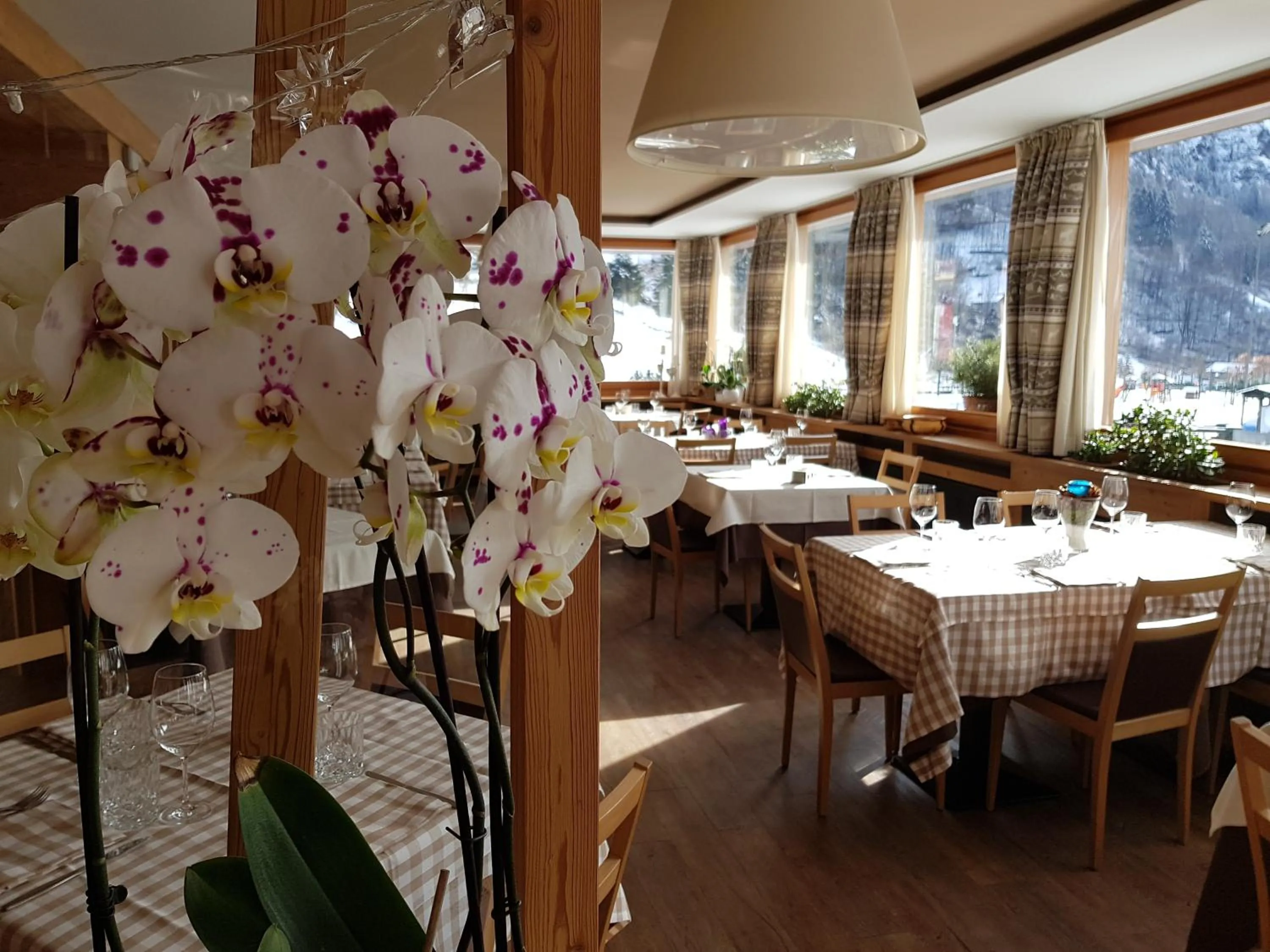 Dining area in Hotel Pedretti