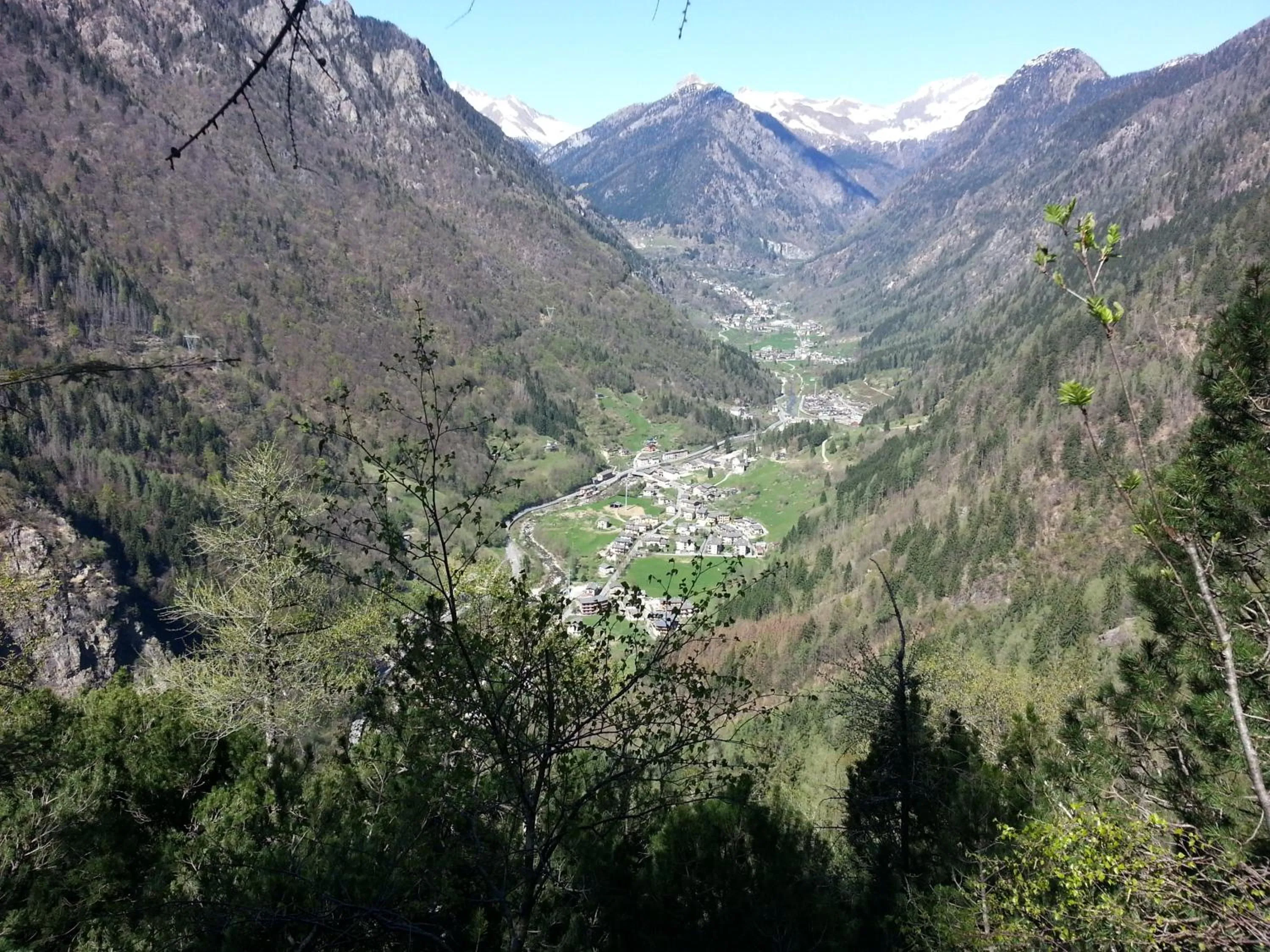 Neighbourhood in Hotel Pedretti