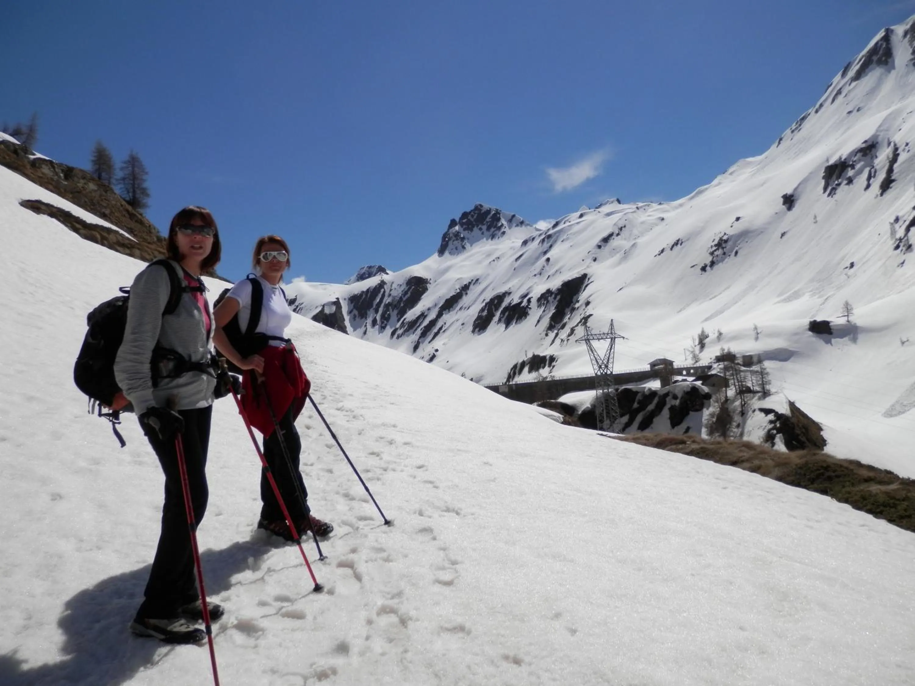 Area and facilities in Hotel Pedretti