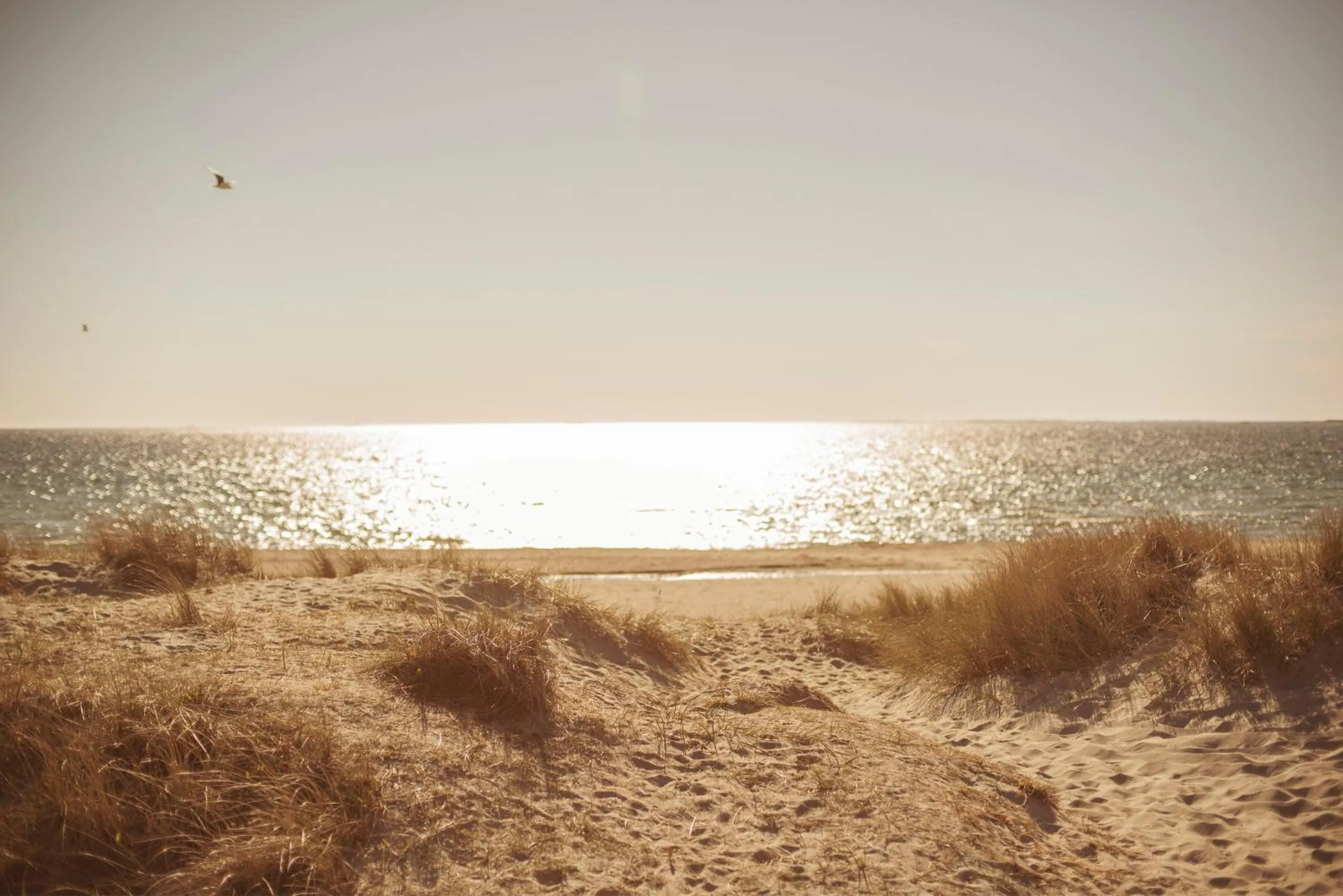 Day in Sola Strand Hotel