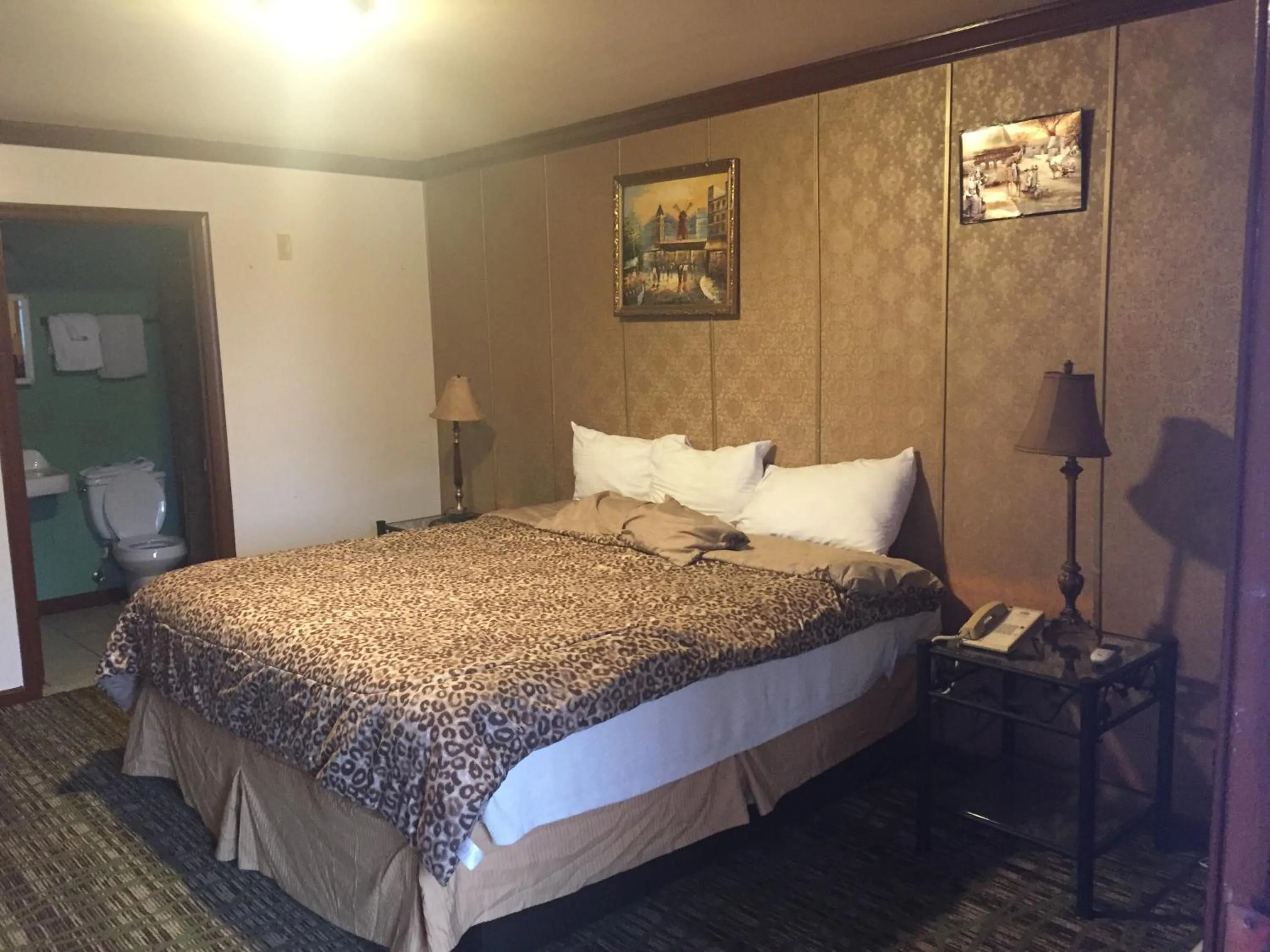 Colony inn motel