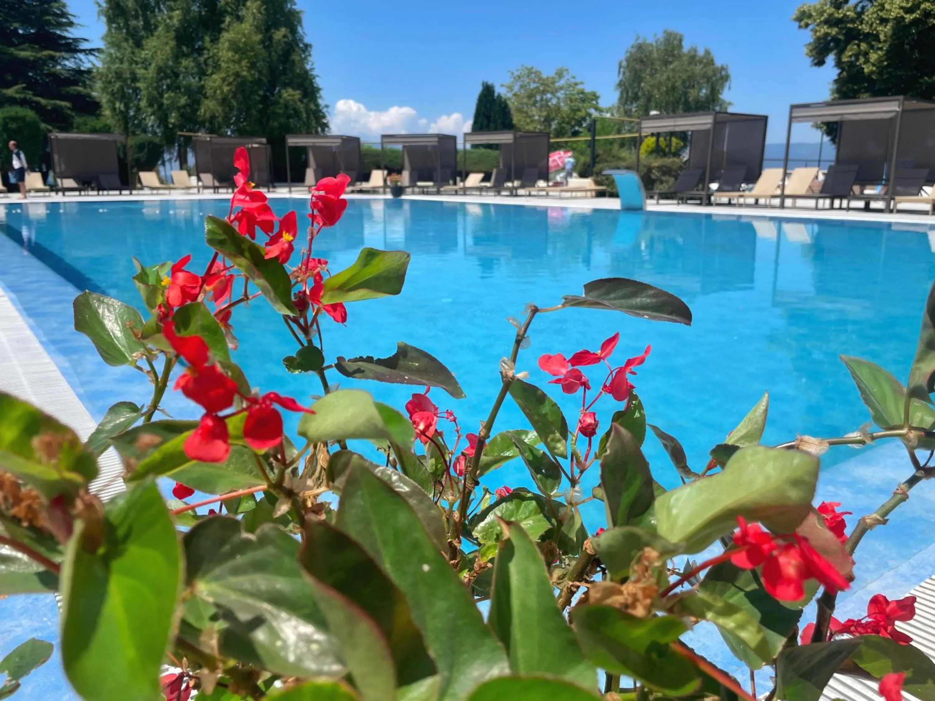 Garden view in Hotel Bellevue - Metropol Lake Resort