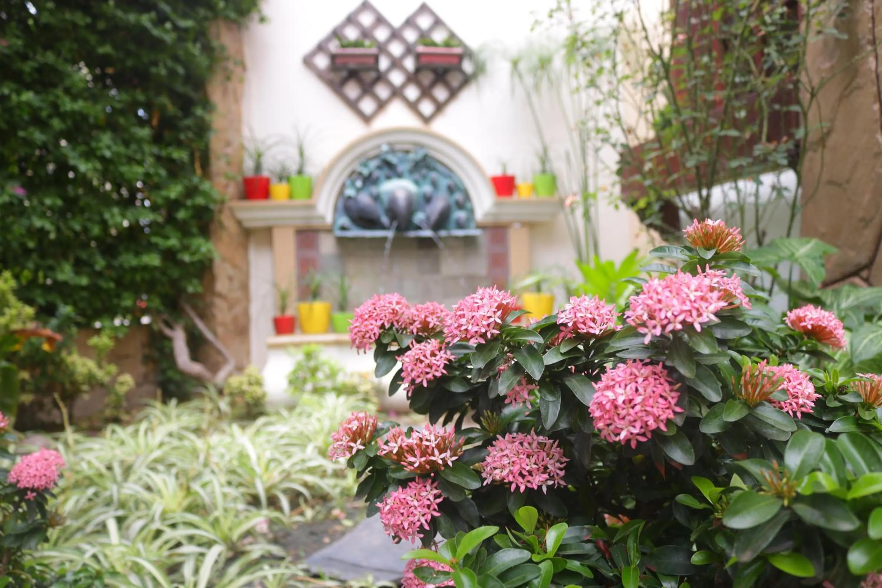Garden in Hotel By Armonía Santa Cruz