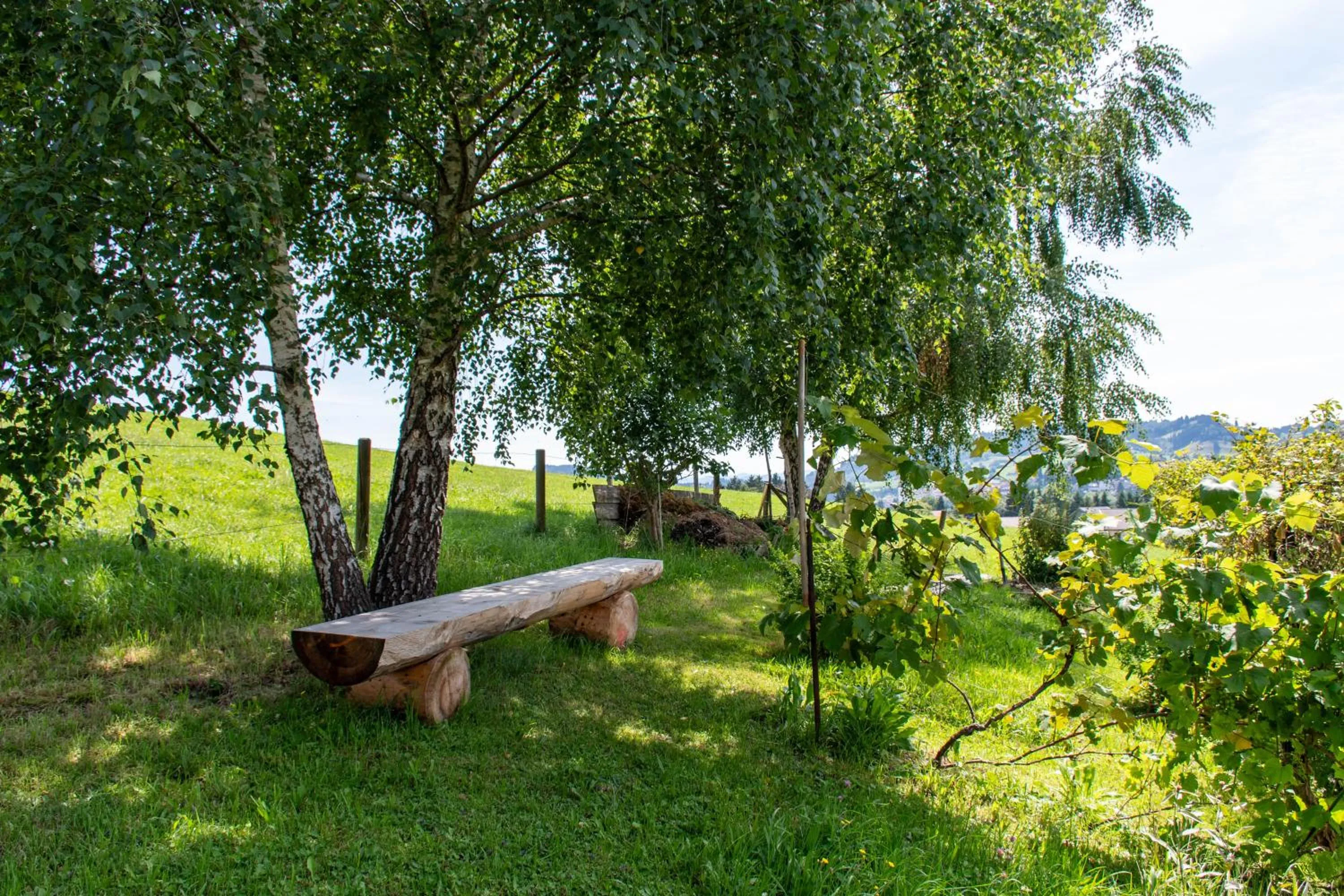 Natural landscape in Hotel am Schönenbühl