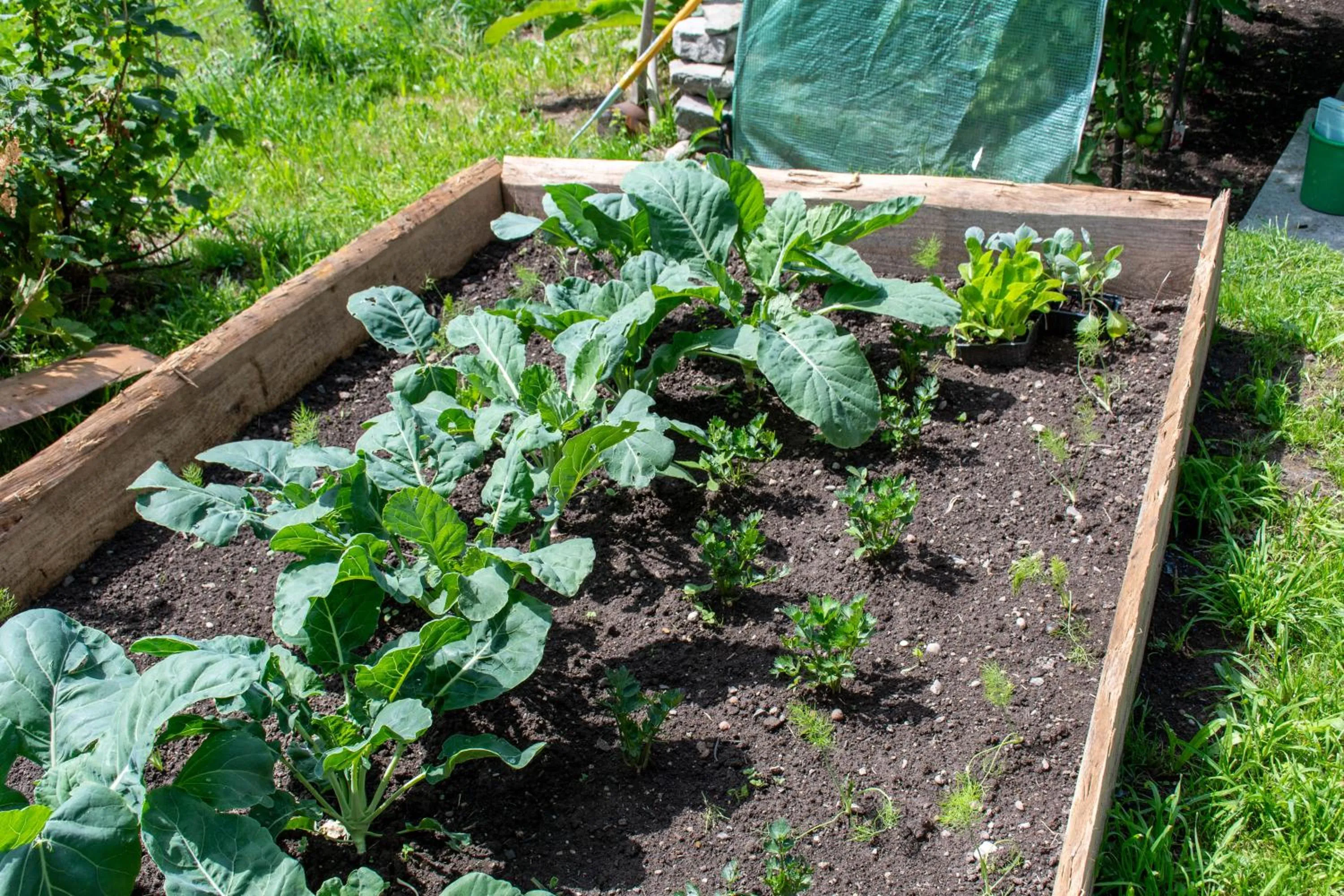 Garden in Hotel am Schönenbühl