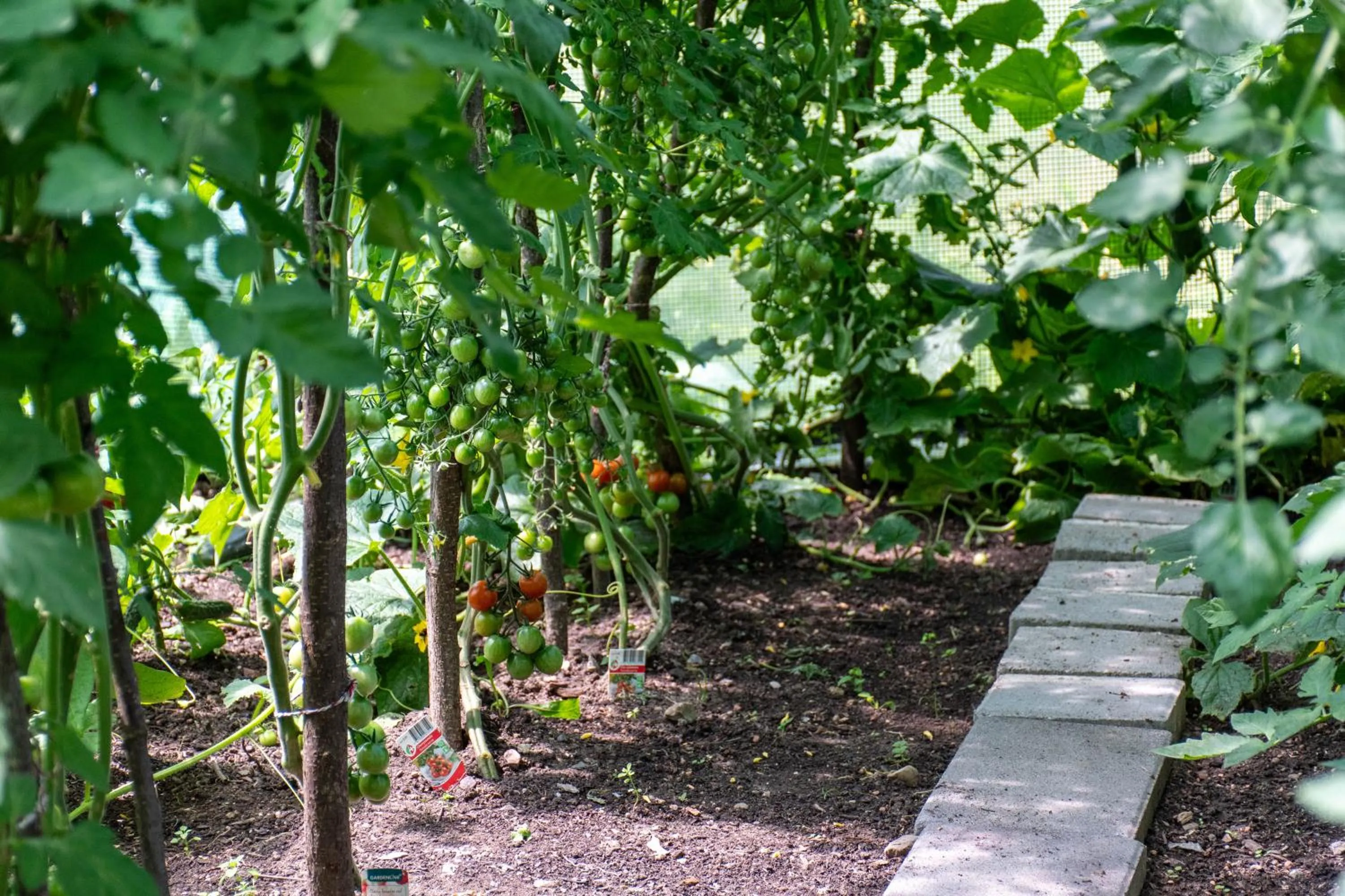 Garden in Hotel am Schönenbühl