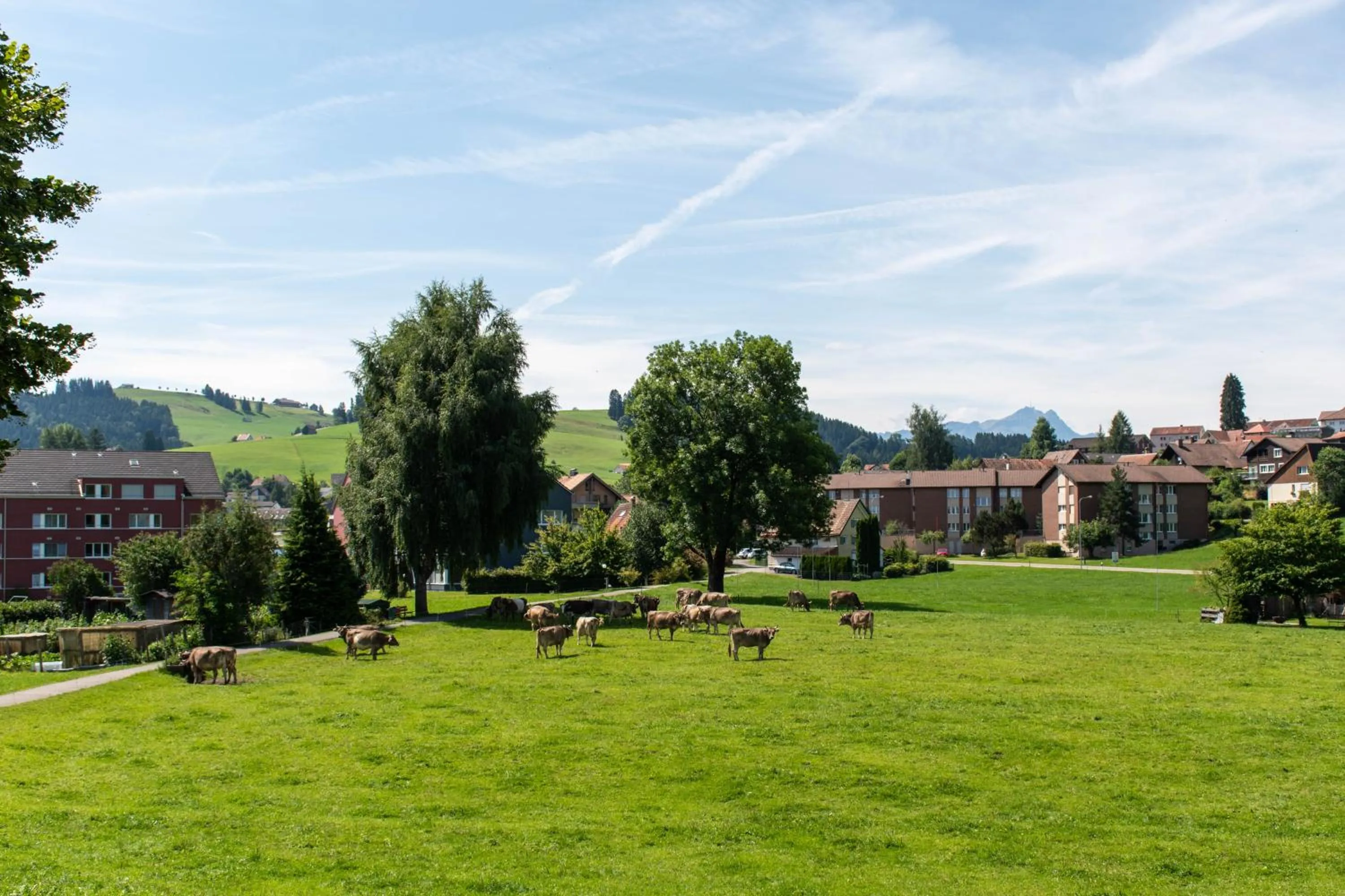 Natural landscape in Hotel am Schönenbühl