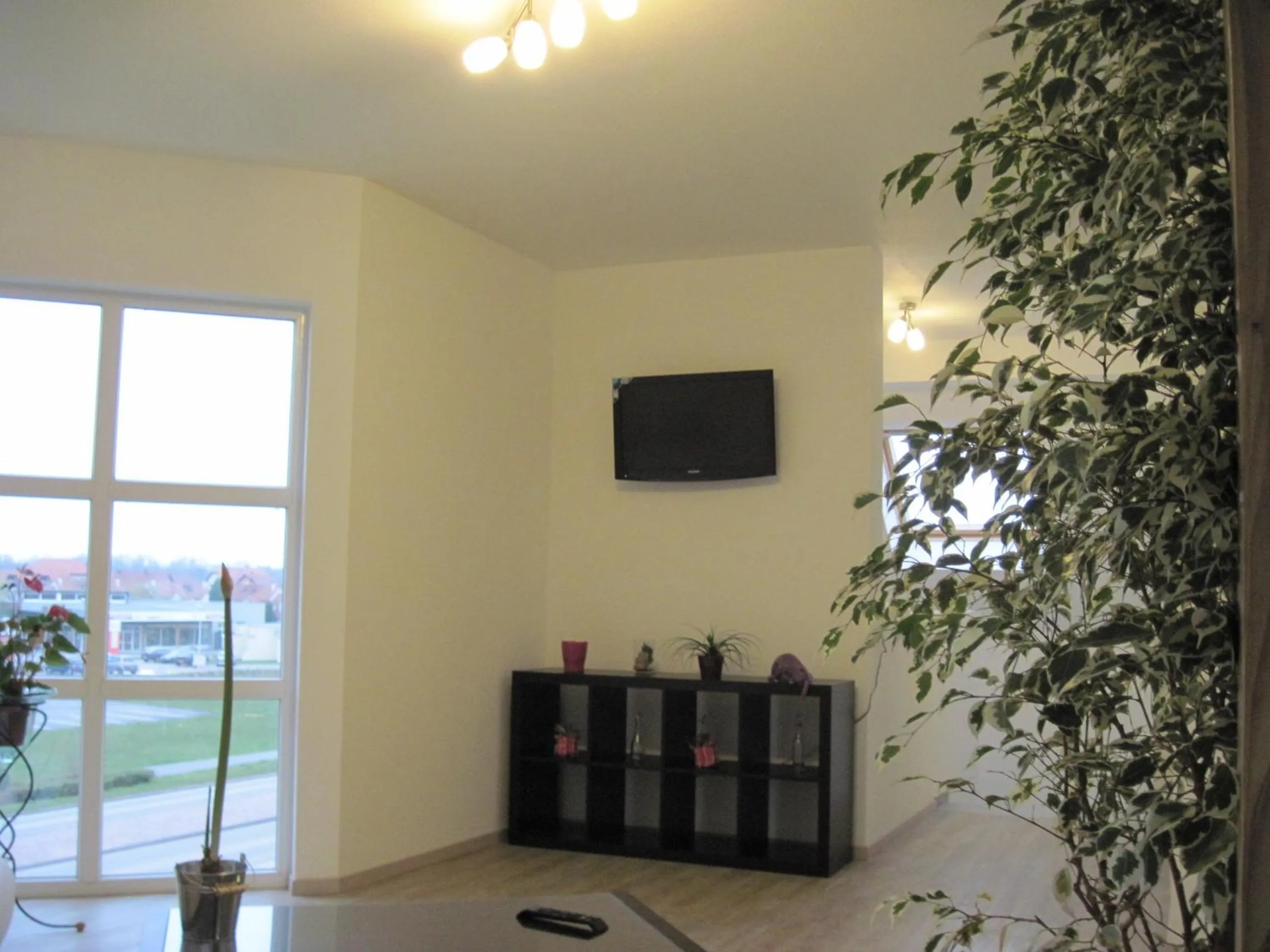 TV and multimedia in Hôtel Des Bois