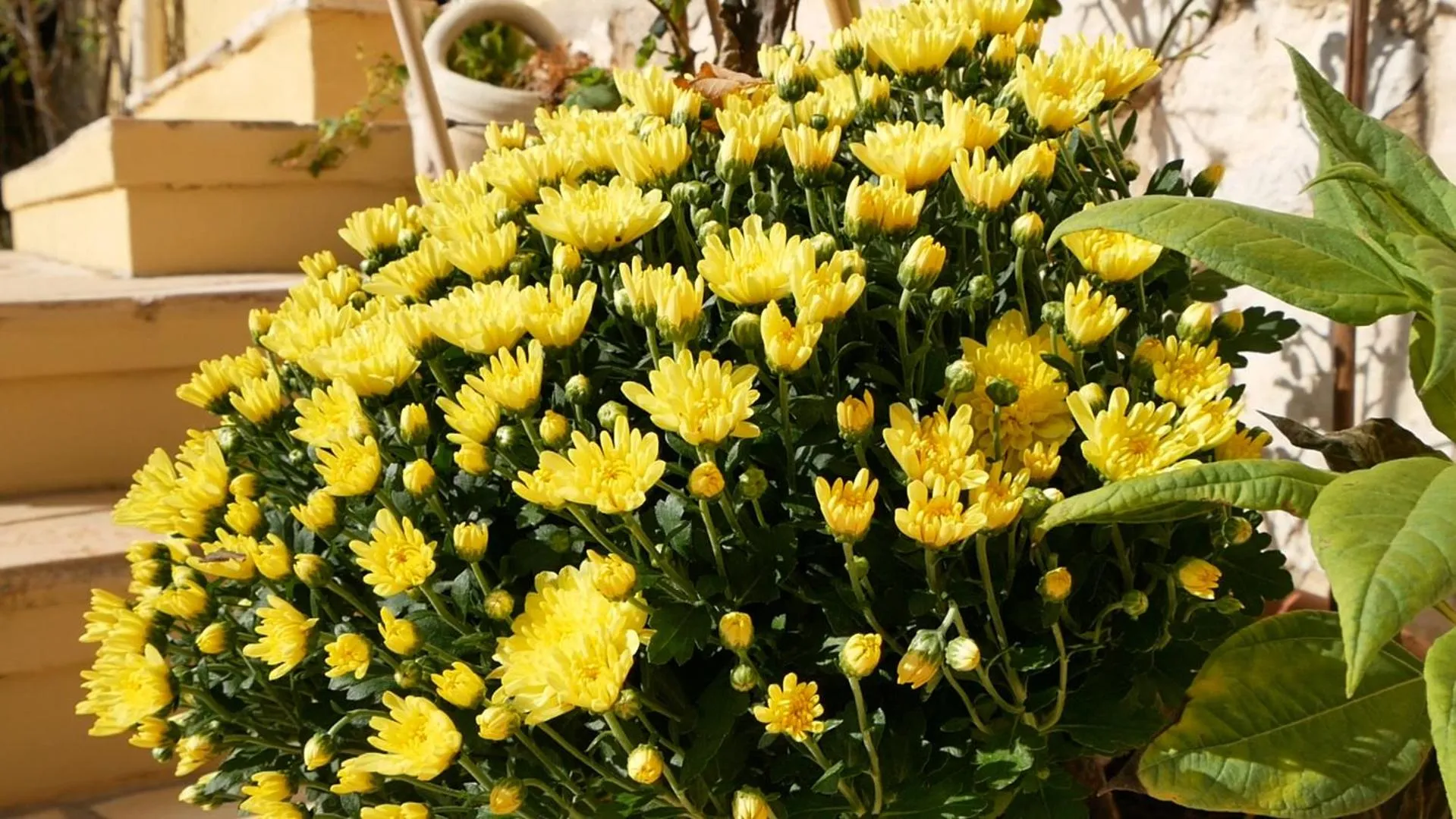 Garden in B&B Del Viale